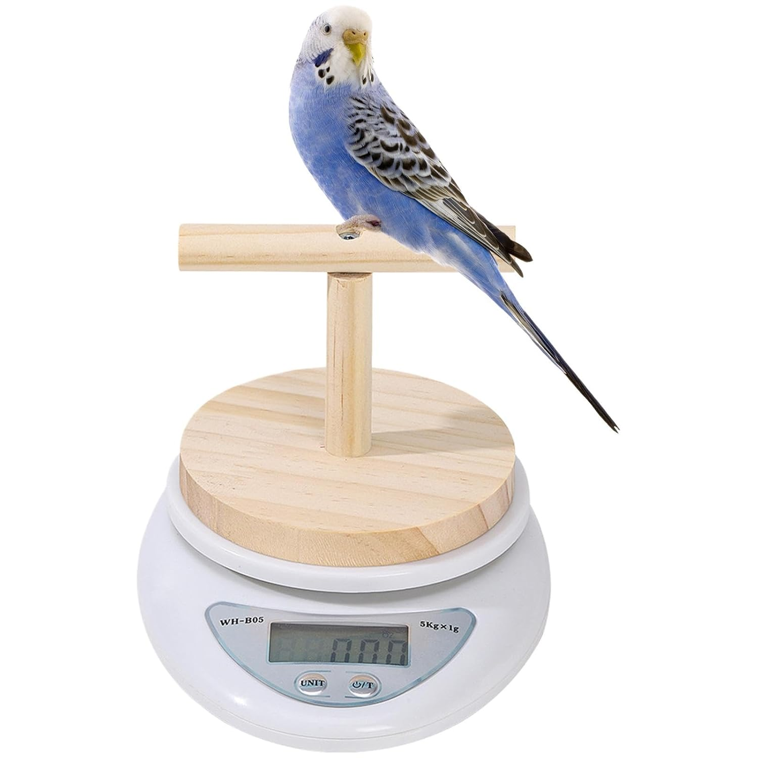 Lmyit Bird Weight Scale | Parrot Training Animal Scale with Perch - Convenient Weight Changing Monitoring Tool for Medication, Milk Powder image number 3