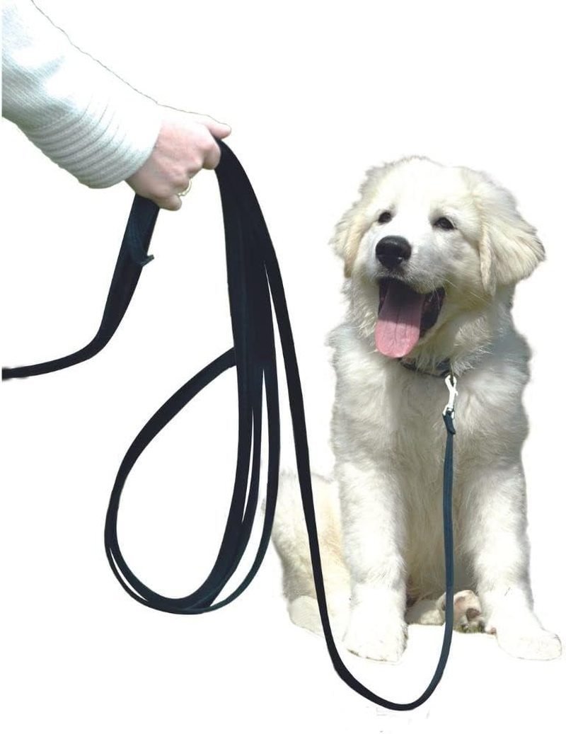 Company of Animals Training Lead for Dog image number 1