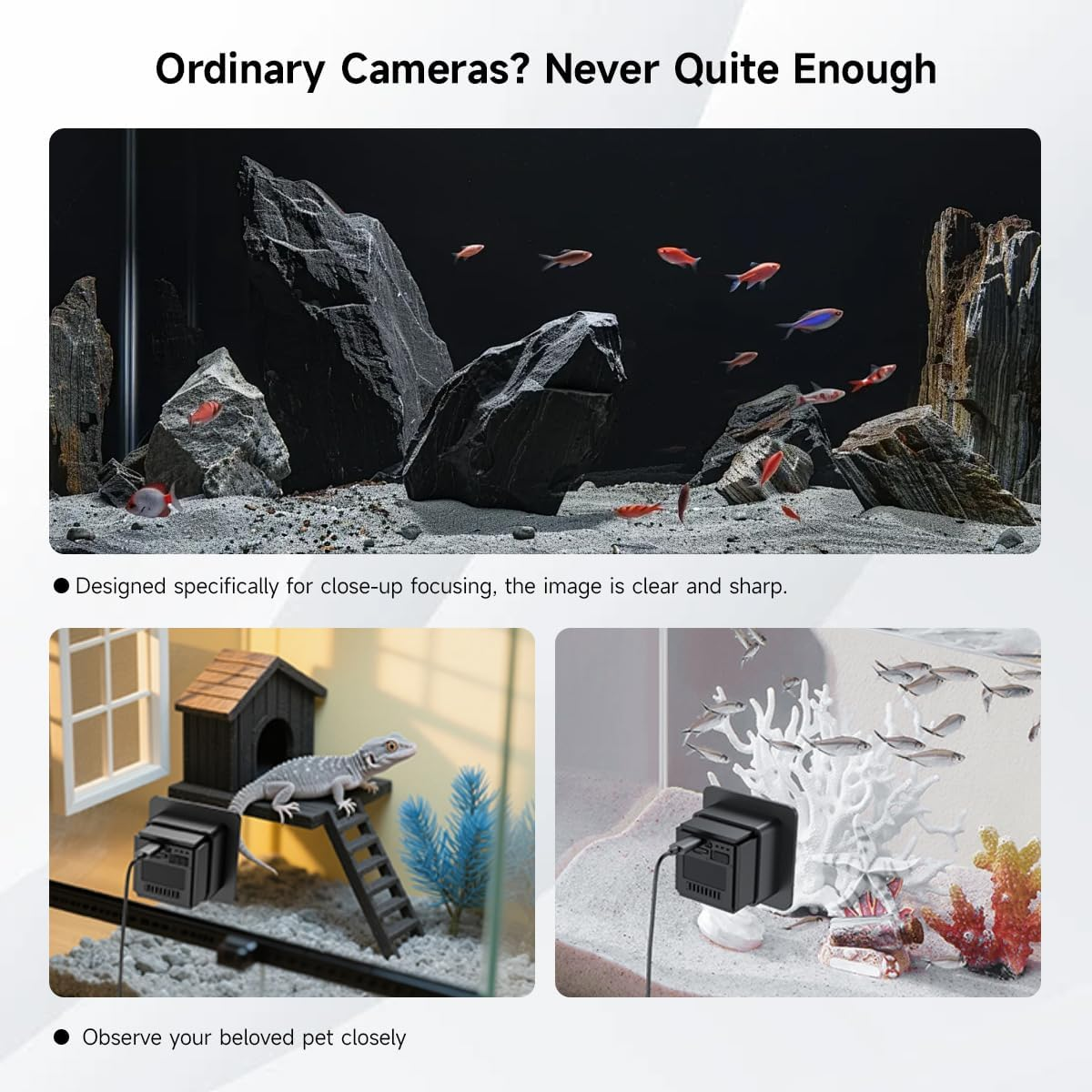 2K HD Aquarium & Terrarium Wifi Pet Camera,140&deg; Wide-Angle Anti-Glare & Anti-Reflection,Night Vision for Fish & Reptiles,Two-Way Audio,Glass-Mount Enclosure Monitor,Ai-Powered Detection,24/7 Recording image number 1