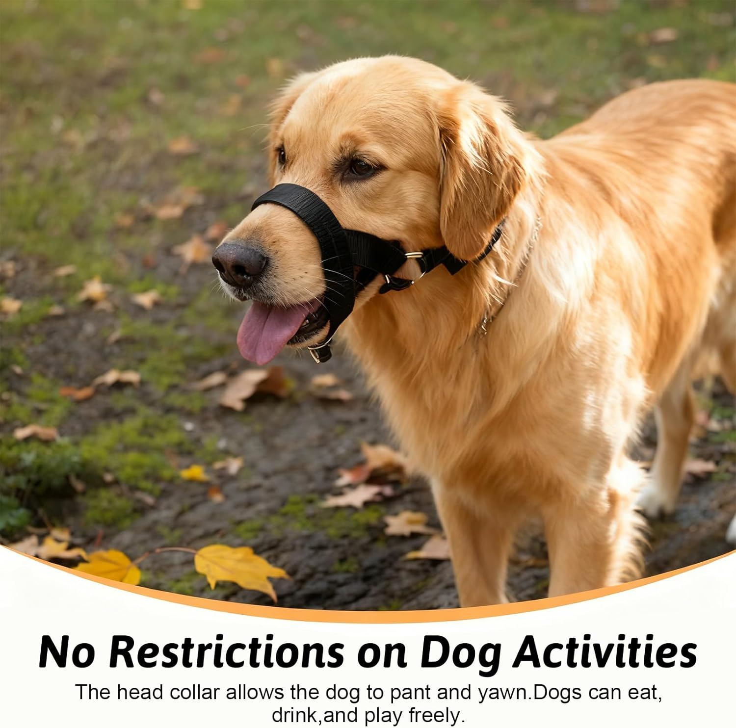 Dog Head Collar, Soft Dog Collar for Small, Medium, and Large Dogs on Walks, No - Pull Training Halter for Heavy Pullers (Black, L) image number 5