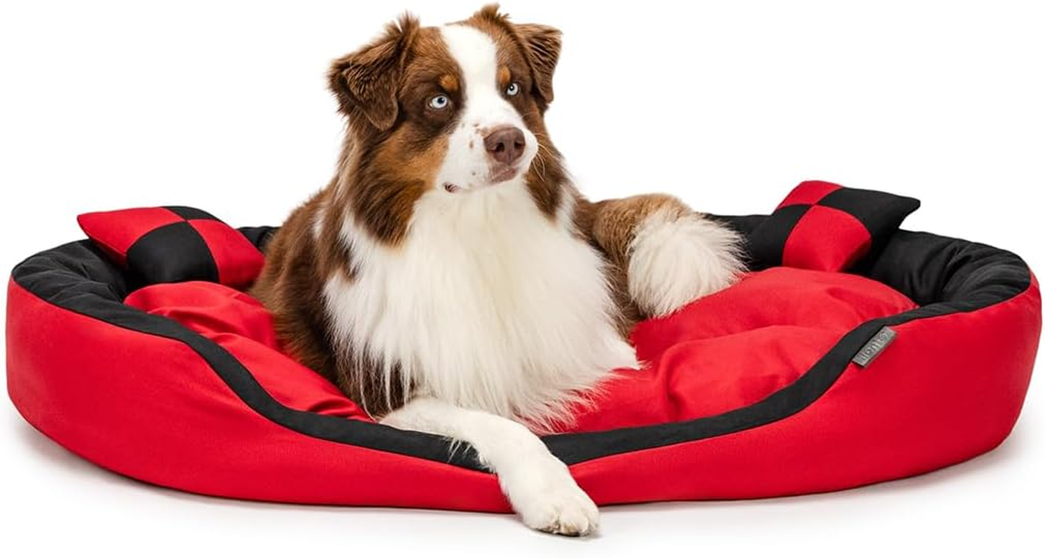 Dibea Warm Basket Tearproof/Waterproof Cushion Dog/Cat Bed with Pillow, 65 X 50 X 20 Cm, Black/Brown image number 2