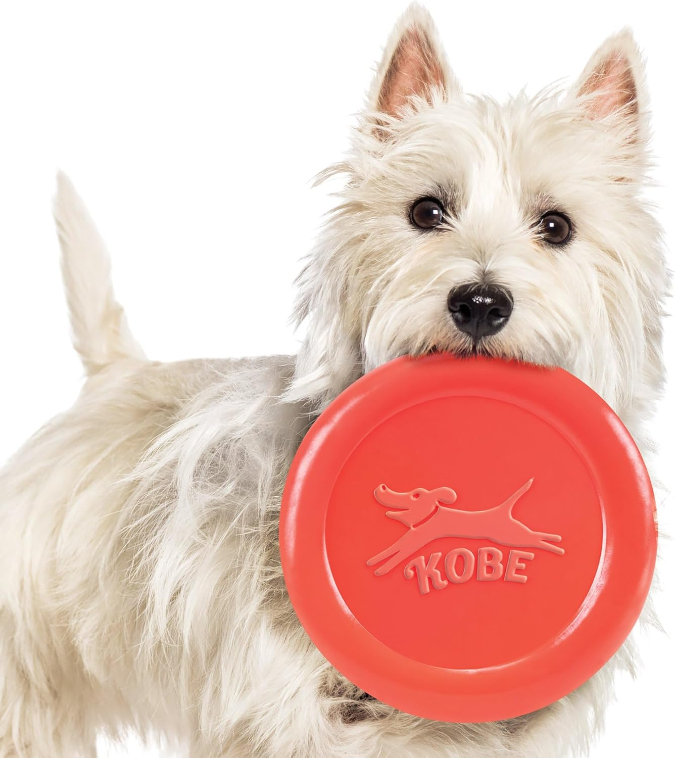 Collections Etc Kobe Bacon Scented Dog Frisbee Fetch Toy image number 1