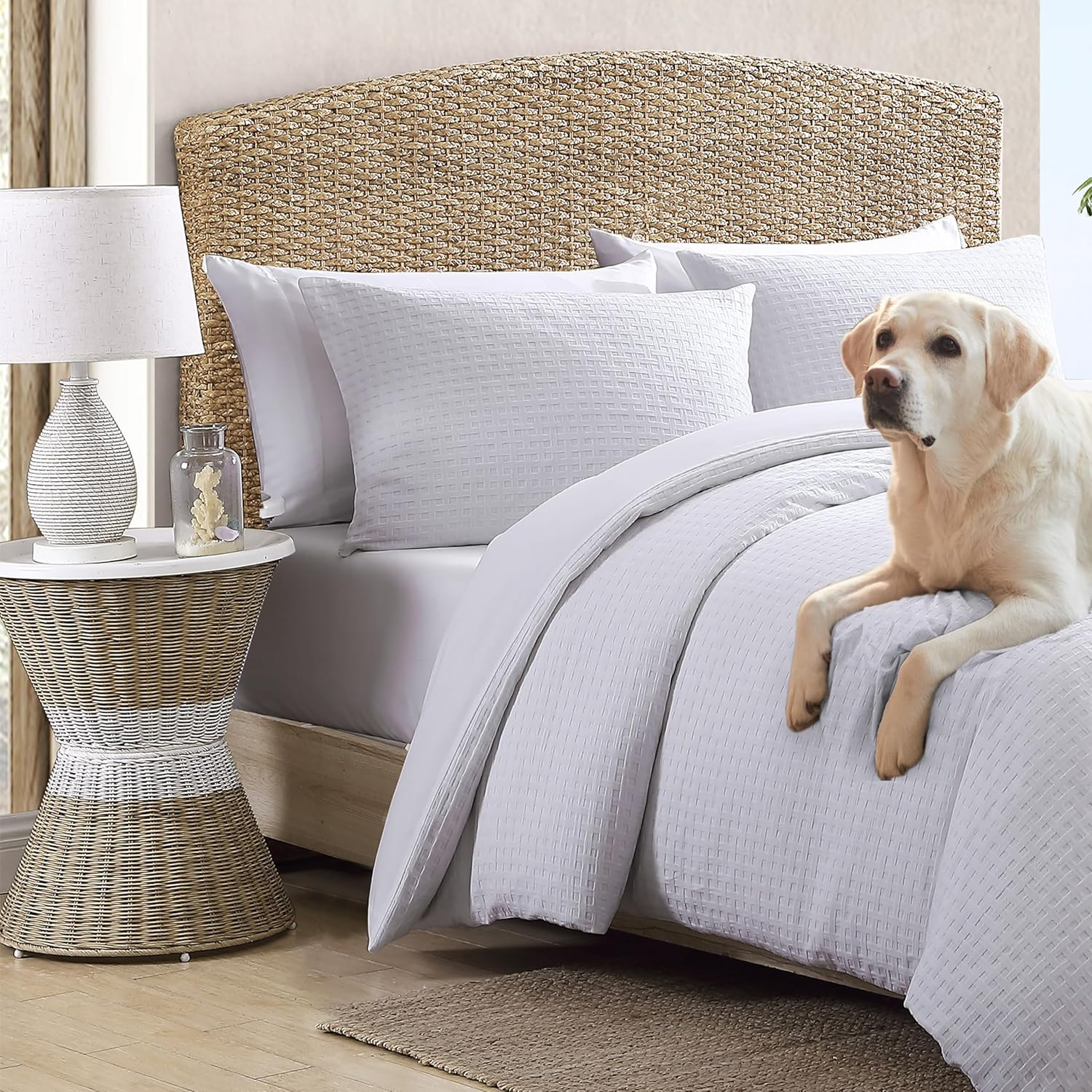 Tommy Bahama - King Duvet Cover Set, Soft Cotton Bedding with Button Closure, Includes Matching Shams (Basketweave White, King) image number 5