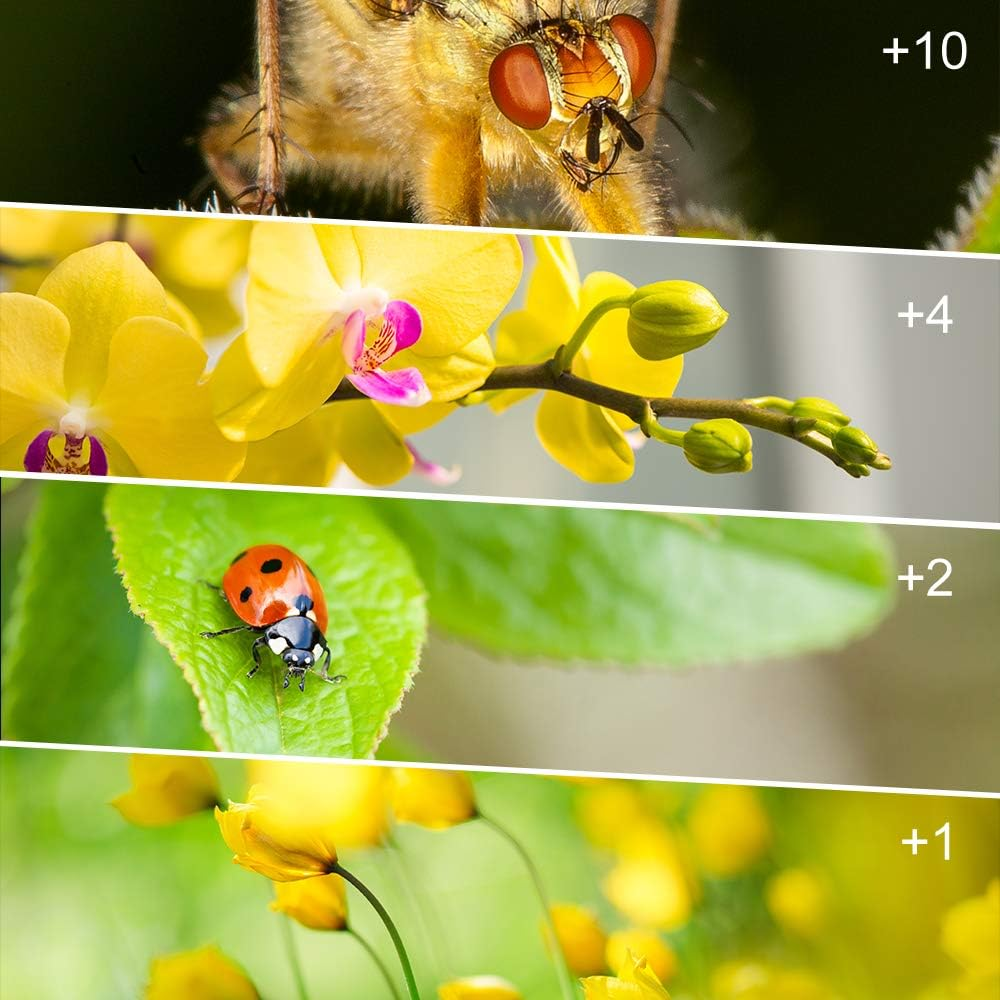 82Mm Close-Up Filter Kit 4 Pieces(+1,+2,+4,+10) Macro Filter Accessory Close-Up Lens Filter Kit Set with Lens Filter Pouch for Canon Nikon Sony Pentax Olympus Fuji DSLR Camera+Lens Cap image number 3