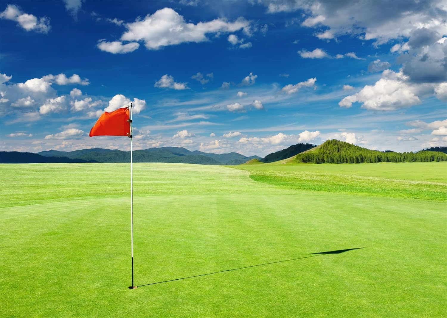 CORFOTO 10X8Ft Fabric Golf Course Backdrop Photography Golf Flag Green Mountain Forest Trees Grass Lawn Background Blue Sky Cloud Decorations Golf Sports Party Backdrop Photoshoot Studio Props image number 5
