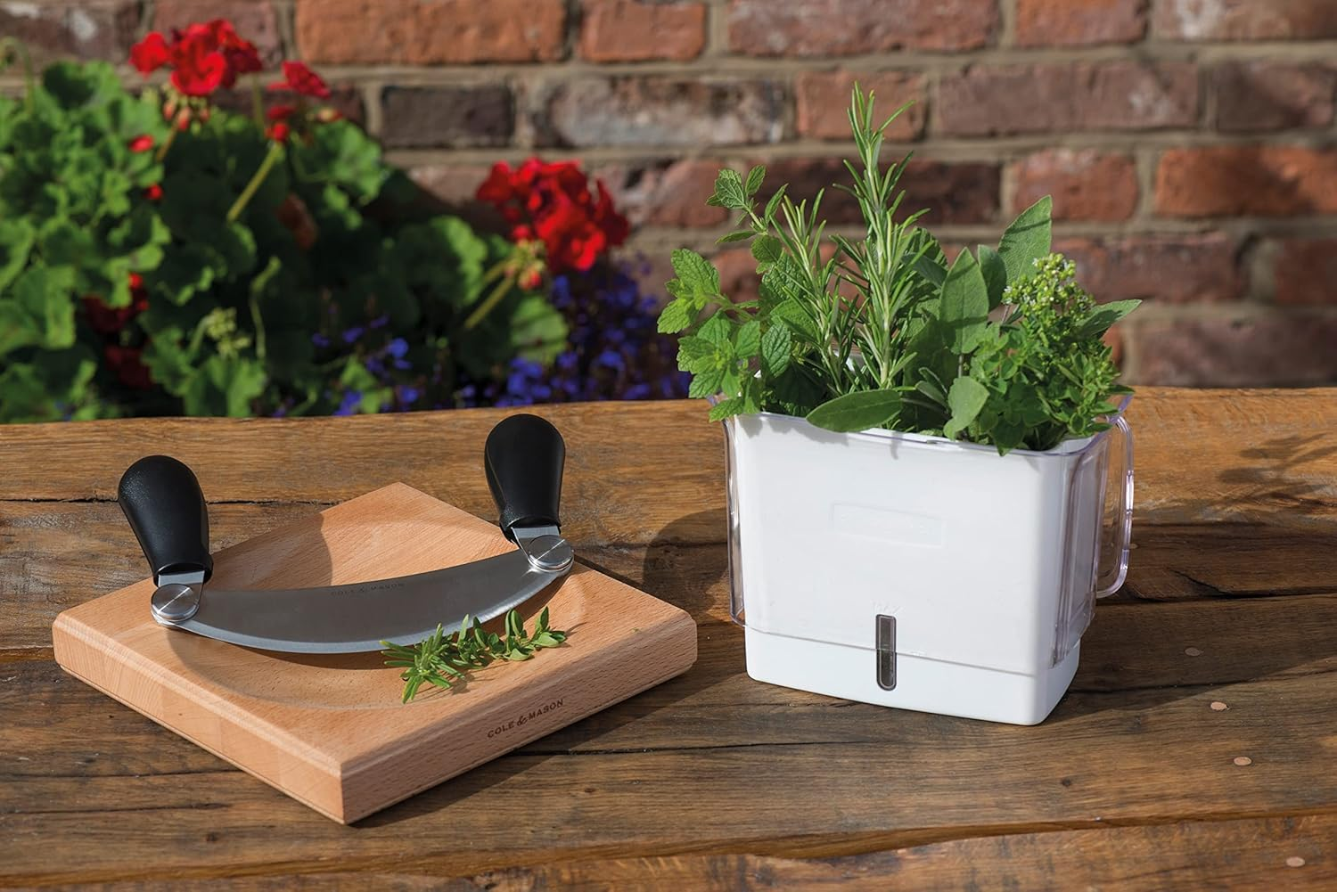 Cole & Mason 31401 Herb Keeper, White