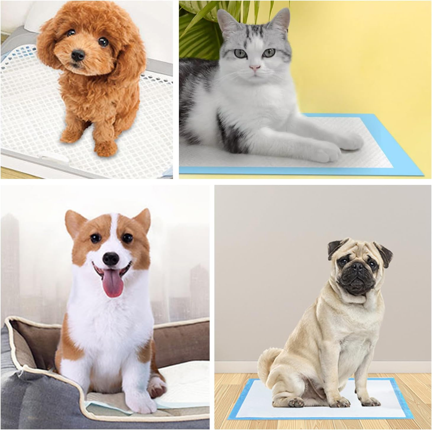 TORMEN Dogs Pee Pads 100 Pack 13" X 17.7" Disposable Ultra Absorbent Leak-Proof Pet Training Pads for Rabbits Guinea Pigs Hamsters Hedgehogs Cats image number 1