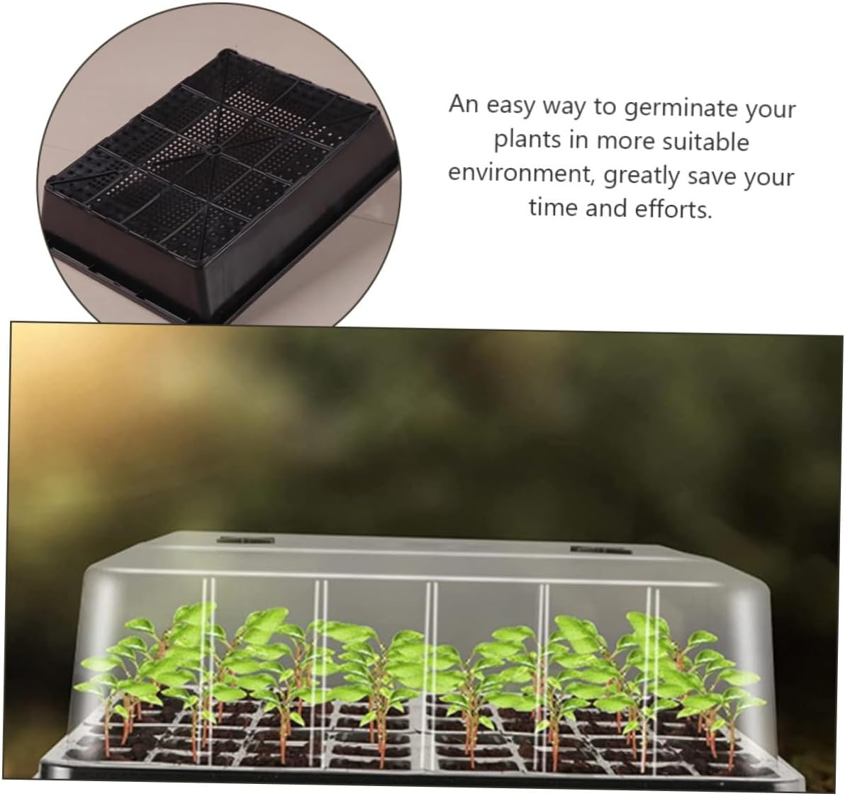 INOOMP 1Set Thick Trays for Starting Plants Indoor and Outdoor Nursery Supply Compact and Smooth Germination Flat Tray with Finish for Greenhouse Use image number 4