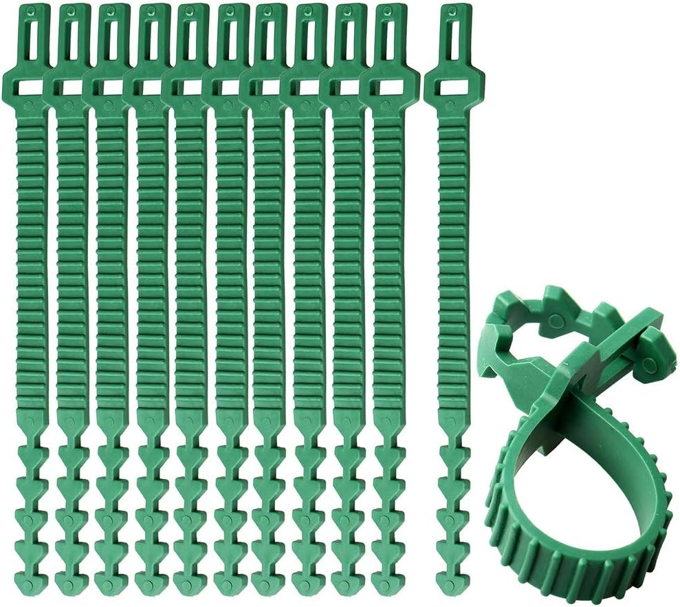 Zhiye Tree Ties Straps Supports, Heavy Duty Adjustable Interlock Garden Plants Shrub Ties for Shrub Rose Plant Tree Support 12Pices 9.4Inch image number 3