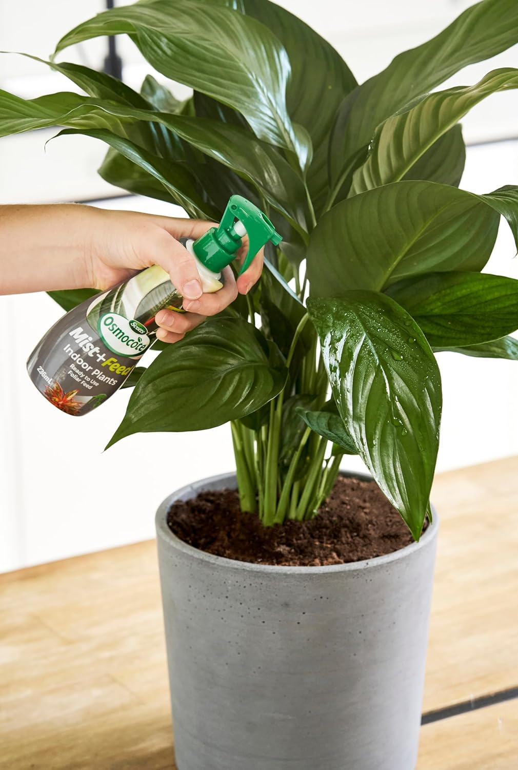 Scotts Osmocote Mist and Feed House Plants Fertilizer 236 Ml