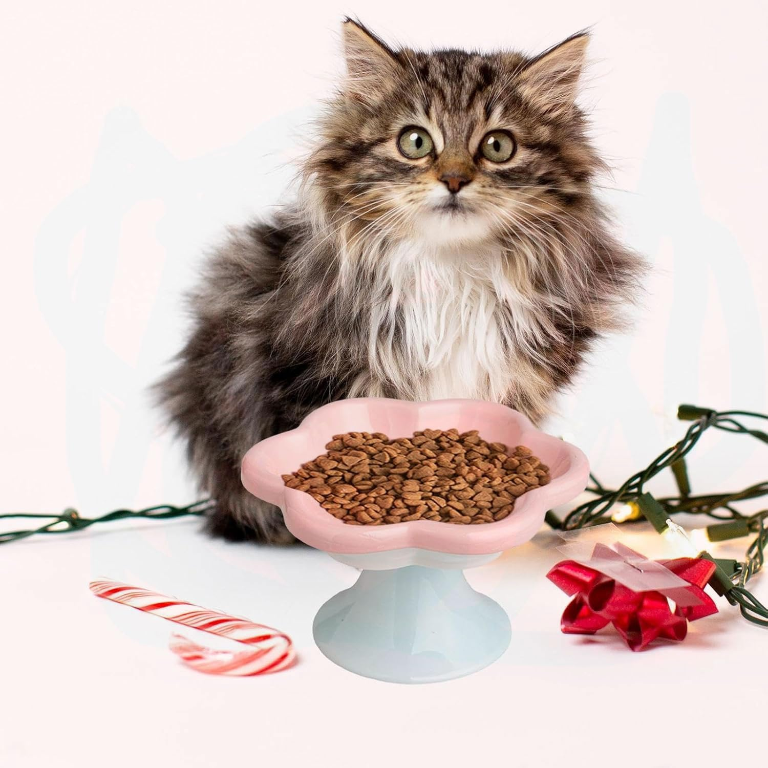 Ceramic Raised Cat Bowls, Pet Feeder Bowl Elevated Pet Feeder for Cats, Medium Puppies & Small Dogs, Pink image number 3