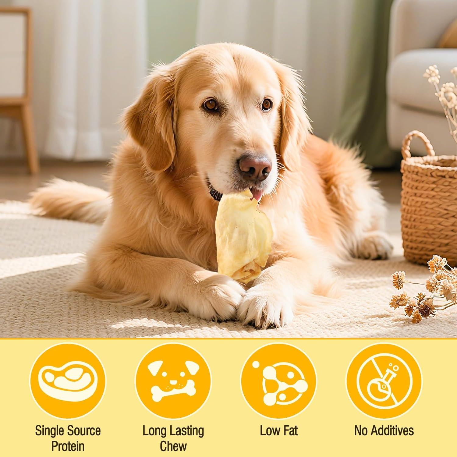 100% Natural Real Cow Ears for Dogs - Single Ingredient Dental Chew, Long-Lasting Treats for All Breeds (Small/Medium/Large) | High Protein, Easily Digestible image number 5