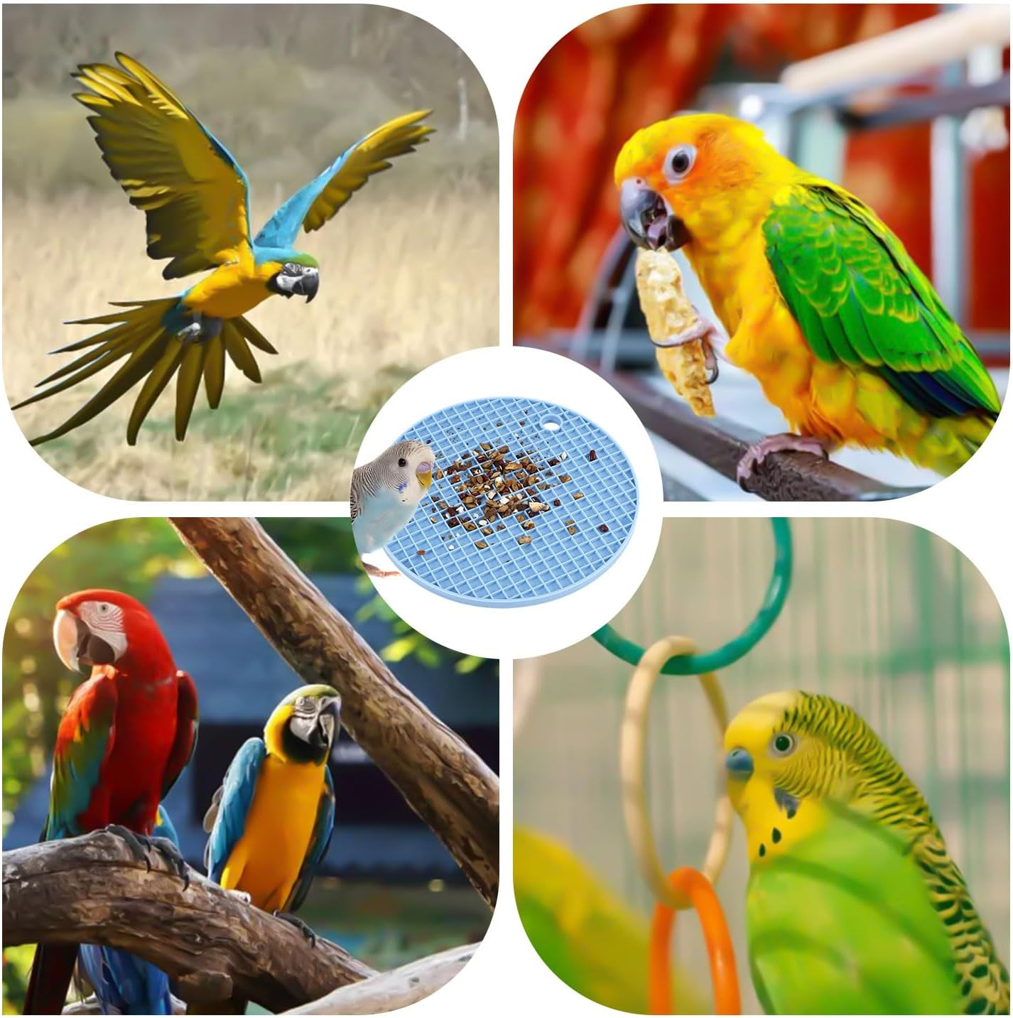 2Pcs Bird Slow Feeder Mats, Parrot Foraging Toys Silicone Feeding Mat Interactive Puzzle for Pet Cockatiel Parakeet Conure Budgies African Grey (Sky Blue) image number 4