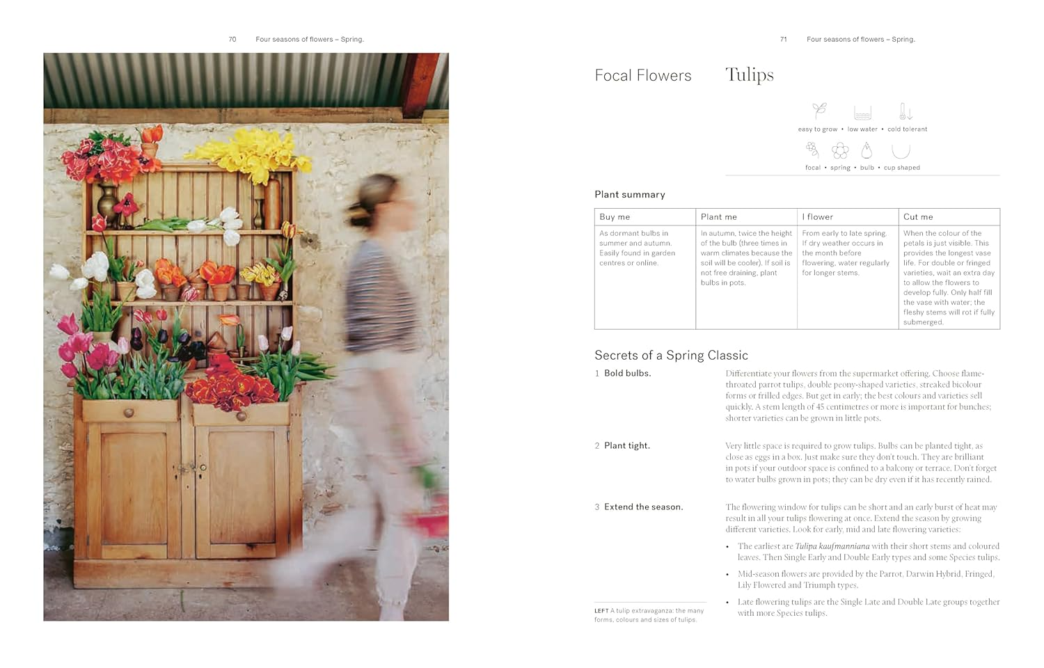 Secrets from the Flower Farm: Growing Abundant Flowers in Unpredictable Conditions image number 6