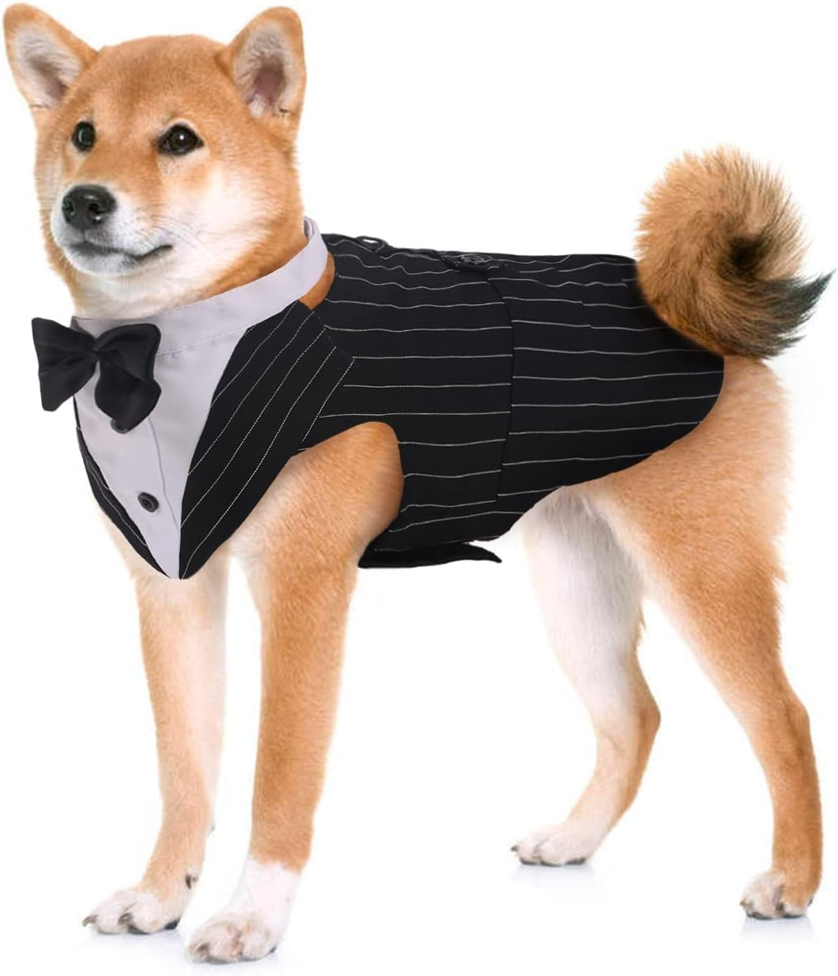 Gofunway Dog Tuxedo Suit and Bandana Set, 2 Pack Pet Costume Puppy Formal Party Suit Wedding Attire for Large Medium Dogs Golden Retriever, Samo Bulldogs Prince Bow Tie Shirt (Black Stripe, X-Large) image number 5