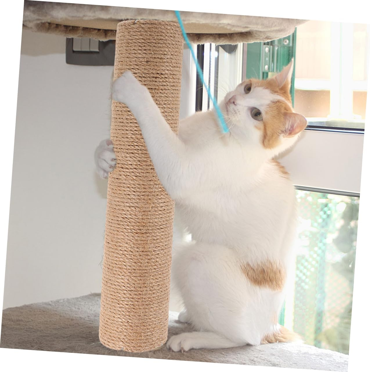 Alasum 2Pcs Sisal Cat Scratching Post Replacement 30Cm Tall Cat Scratch Pole for Corner Wall Tree DIY Climbing Scratcher Accessories for Indoor image number 5