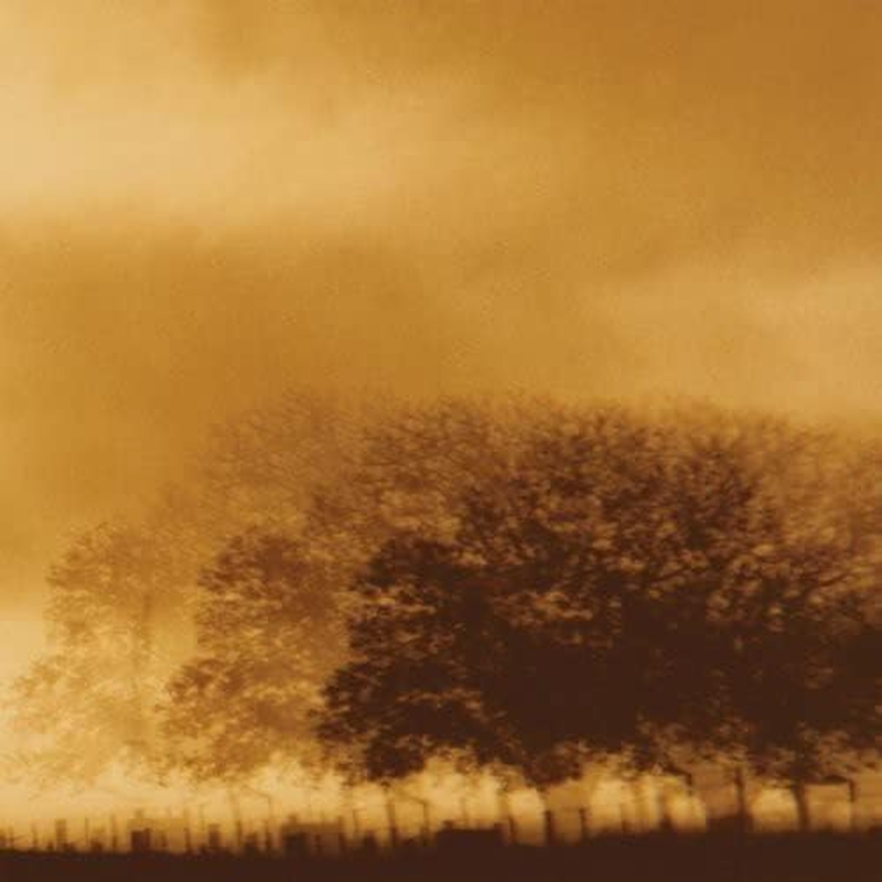 Infinite Light Ltd. image number 2