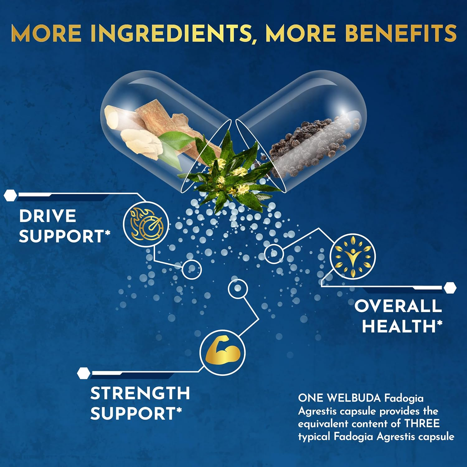 Fadogia Agrestis Supplement - Equivalent to 30100Mg for Muscle Build, Strength, Balance Body, Mood & Immune Support - Black Pepper & Tongkat Ali - 120 Vegan Capsules for 2 Months image number 3