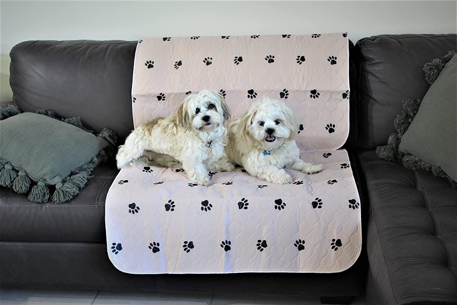 2 Pack XL Washable Whelping Pee Mats, 4 Layers, 80 Cm X 90 Cm or 31" X 35" Aussie Supply, anti Slip Gel Grip Underside Keeps Mat in Place, Suits Car, Truck Back Seat, Dog Mat, Dog Pad, Very Reusable Pee Pads, Totally Waterproof for Cat Litter Box or Cat Litter Tray. Dog Crate or Dog Kennel Very Washable Dog Pee Pad, Wee Pad and Dog Playpens Peepeego Mats. Pet Sofa Protector, Pet Car Mat, Fully Waterproof to 1 Litre. image number 6