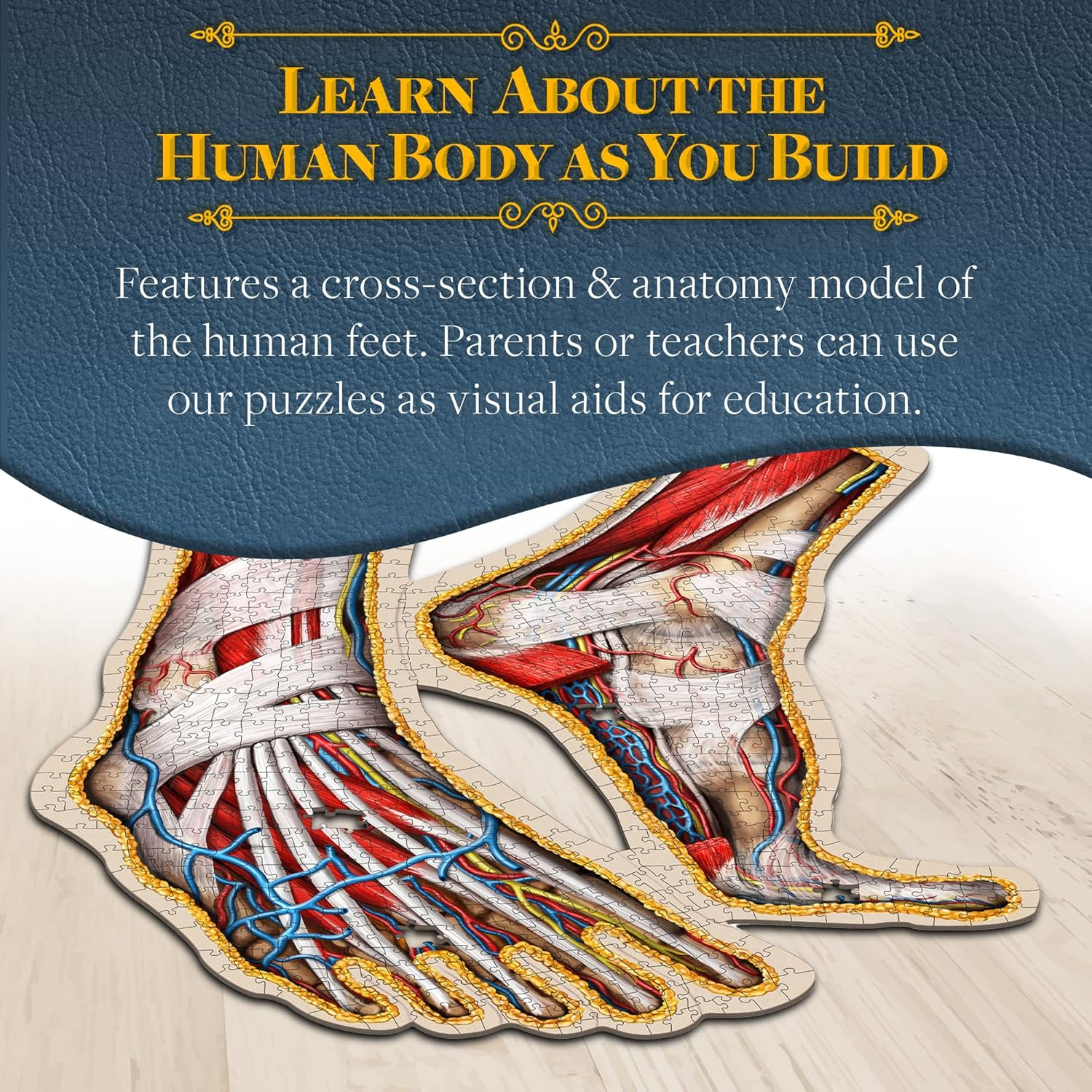 Human Feet Anatomical Floor Puzzle - Unique Adult Anatomy Jigsaw Puzzles - Medical Toy for Kids - Gifts for Doctors, Nurses, Teen - Educational Science Puzzles - Genius Games Dr. Livingston image number 2