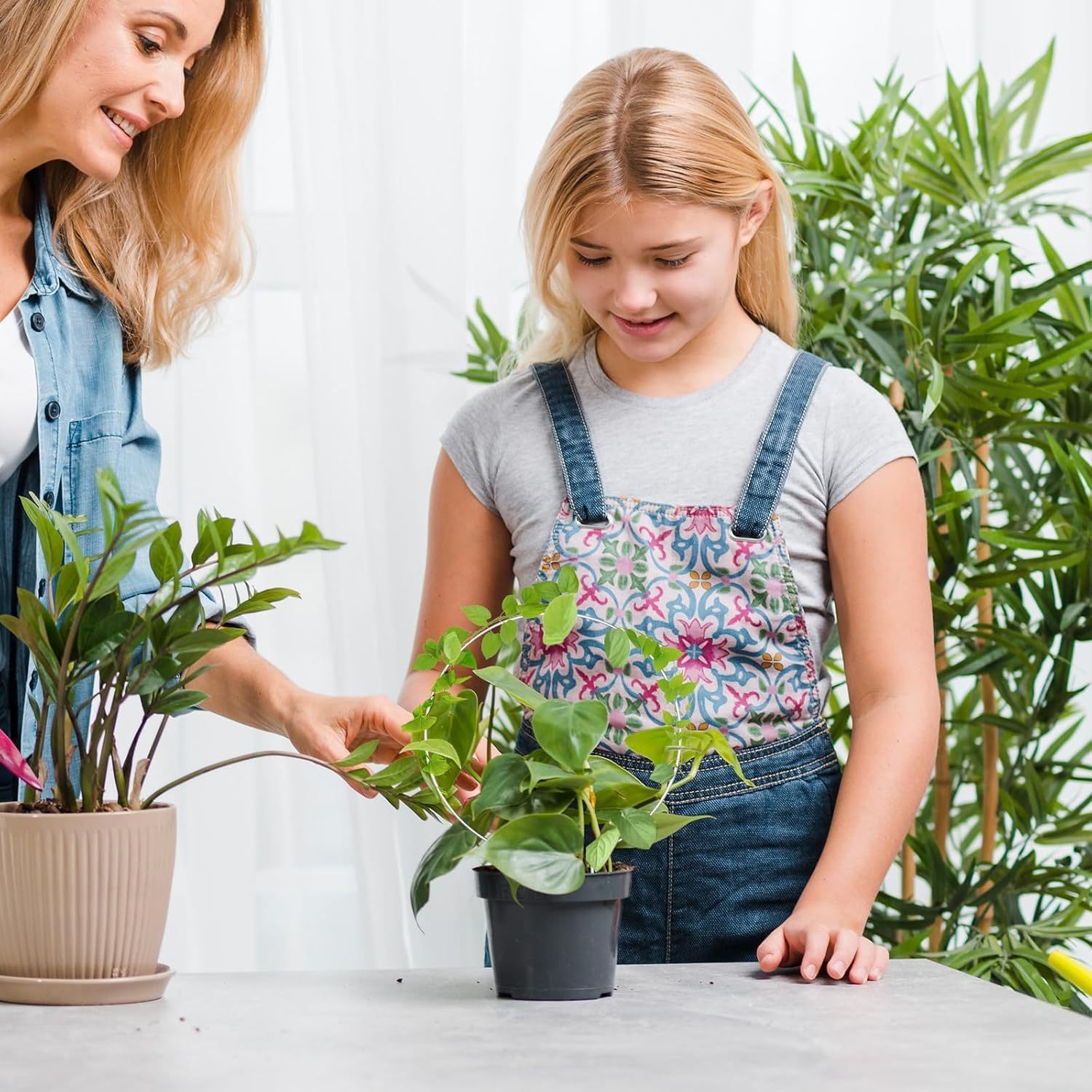 2PCS Small Trellis for Potted Plants, Circle Trellis with Plant Tape, Plant Climber Support for Climbing Plants Indoor Outdoor, Plant Trellis for Vines Flower Topiary Frames (Silvery) image number 1