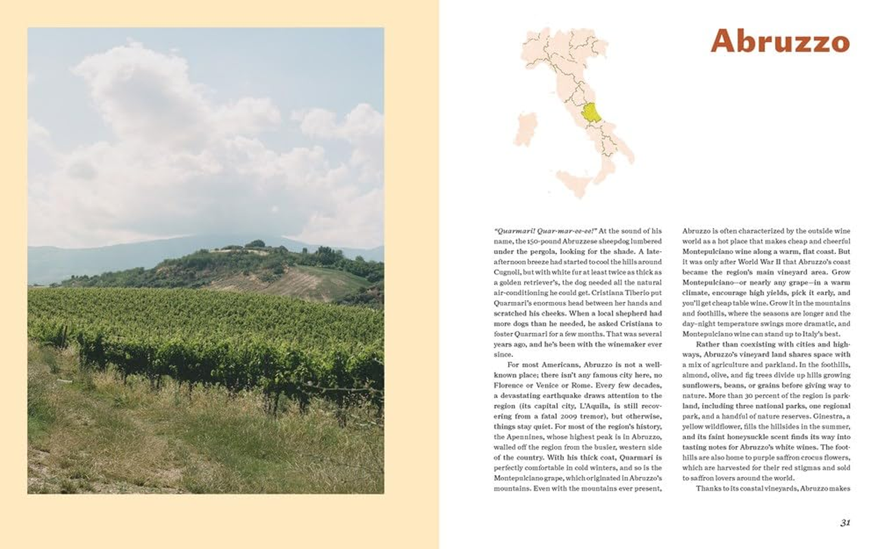 Italian Wine: the History, Regions, and Grapes of an Iconic Wine Country image number 6