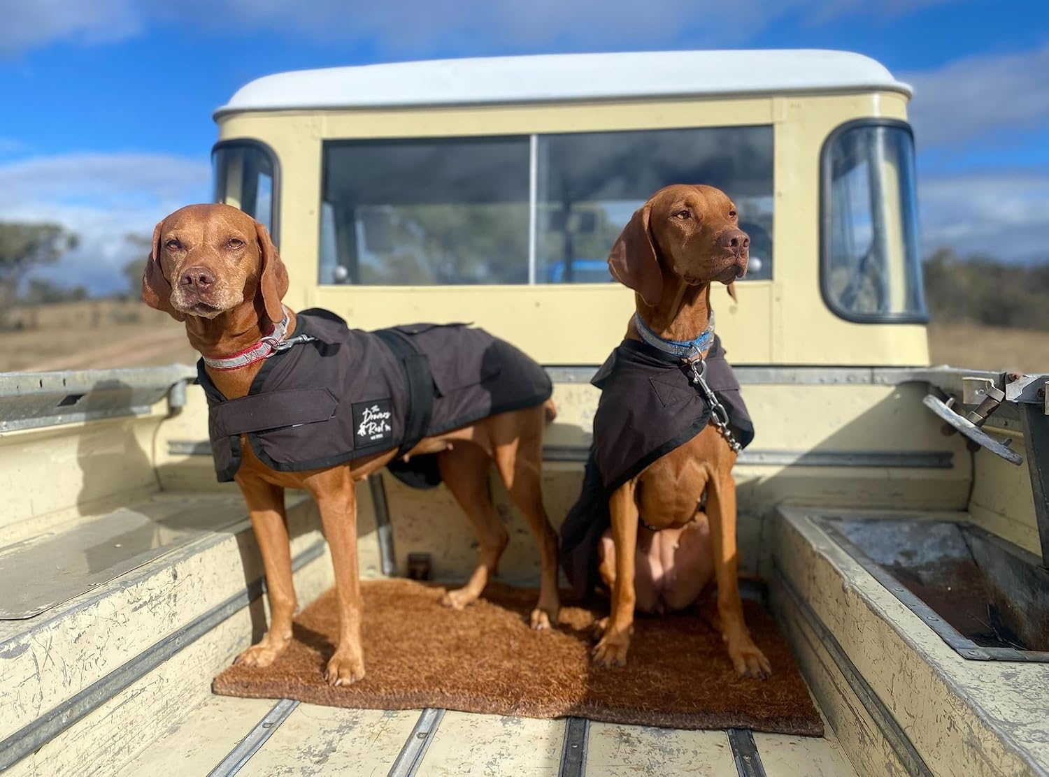 DROVERS Dog and Co Oilskin Coat. Waterproof, Windproof Dog Winter Jacket with Fleece Lining Adjustable Tummy Strap, Two Pockets for Adventure Ready Pets. (35Cm) image number 4