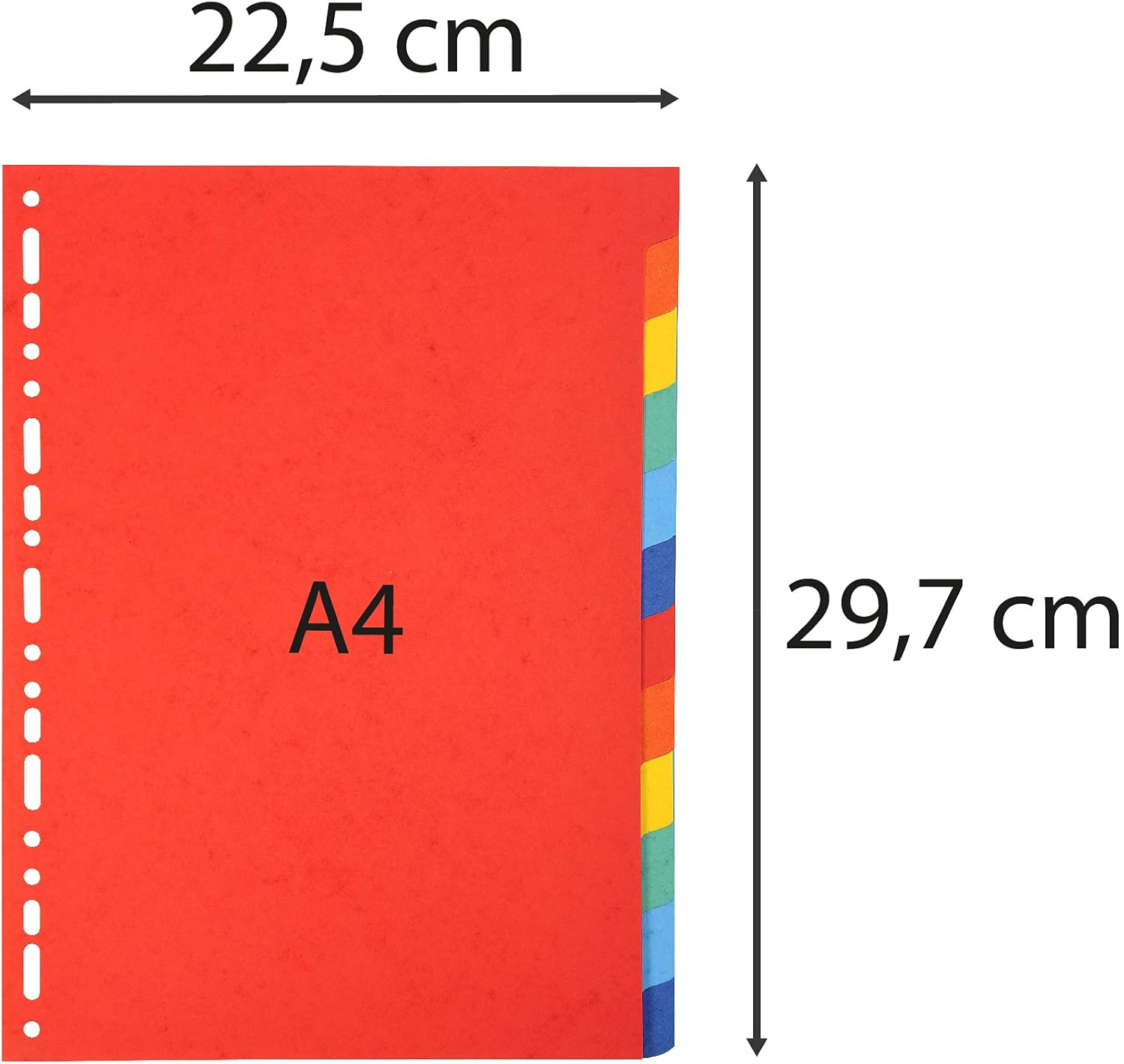 Exacompta - Ref 2012E - Forever Collection - 100% Recycled Dividers - Suitable for A4 Documents, 220Gsm 100% Recycled Card, 12 Position - Multicoloured image number 5