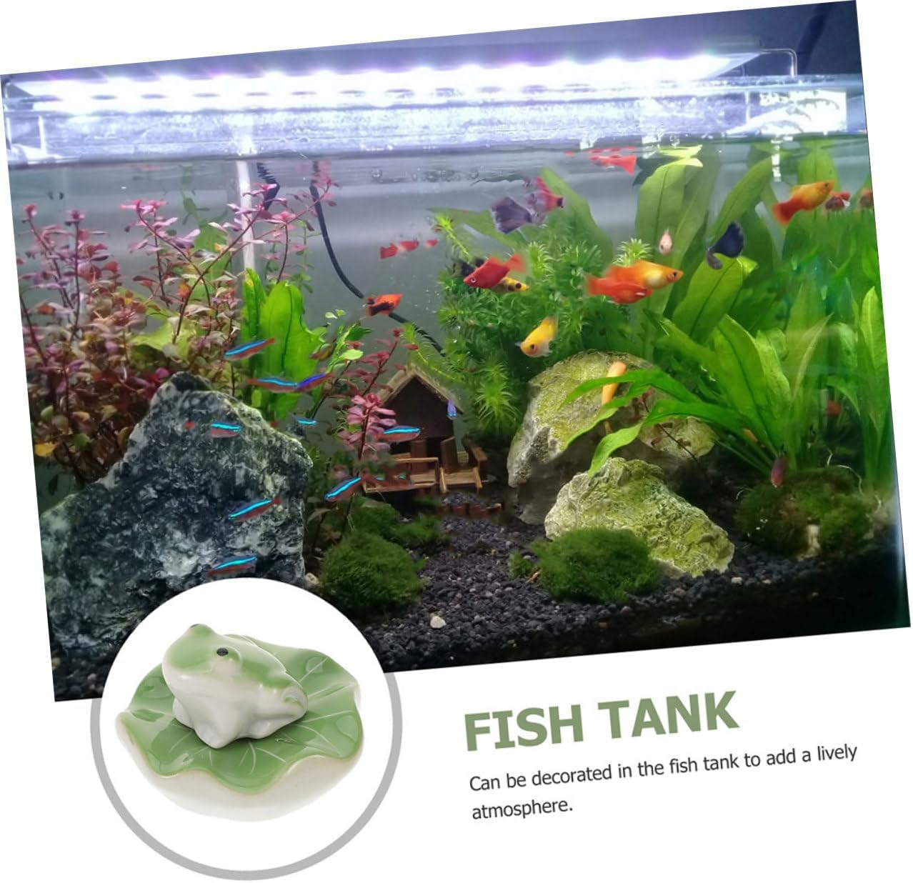 Toyvian 2Sets Ceramic Floating Frog and Tea Pet Sculptures for Aquarium Decor Realistic Fish Tank Decoration of Lifelike Floating Animals for Landscape image number 1