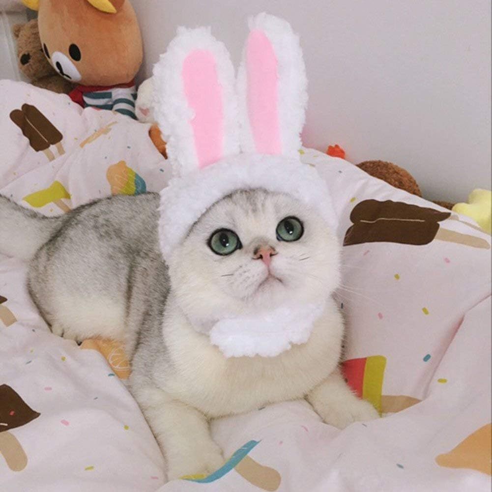 2 Pack Lion Mane Wig Costume for Cat Costume Bunny Rabbit Hat Headwear with Ears Pet Cosplay Dress up Halloween Party Costume Accessories for Cats & Small Dogs image number 1