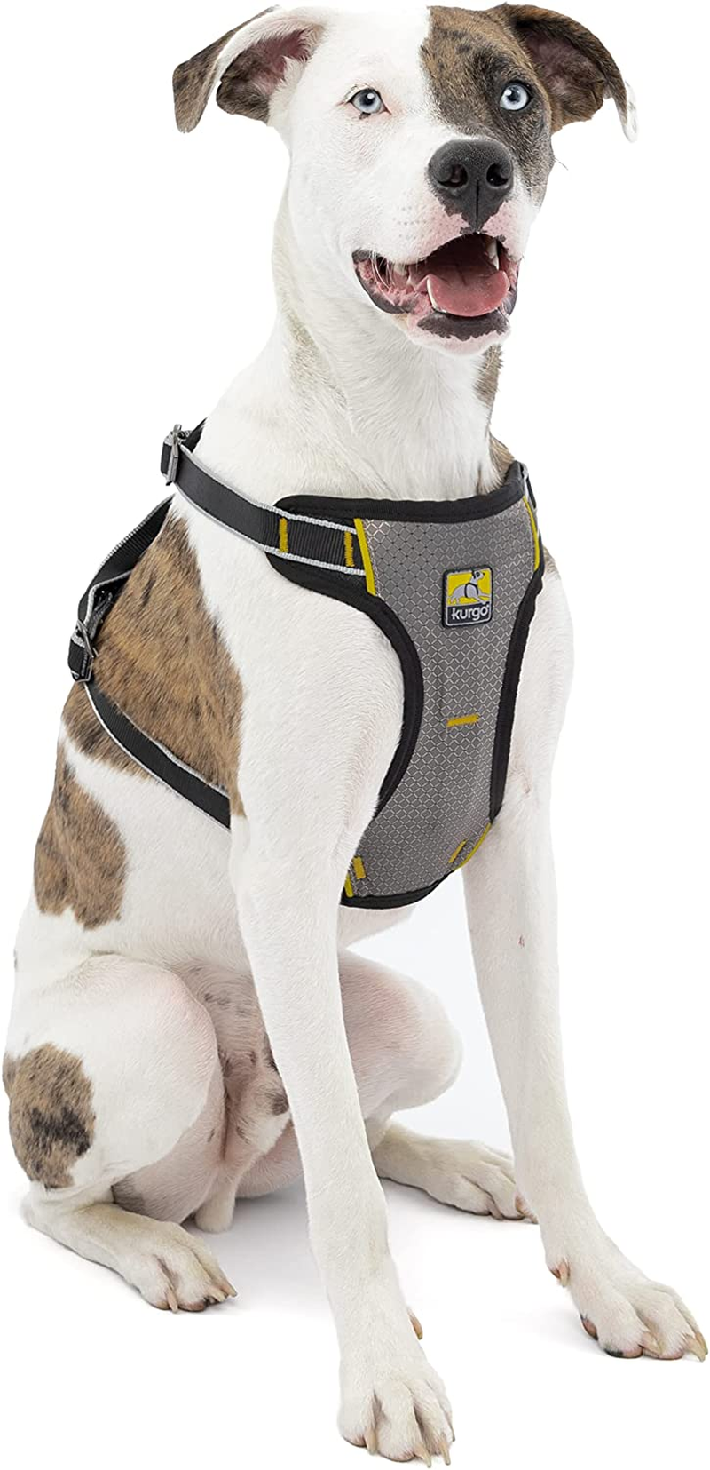 Kurgo Impact Dog Car Harness, Crash Tested Dog Car Harness, Safety Harness for Dogs, Pet Seatbelt Harness, up to 108 Lbs, for Small, Medium, & Large Dogs, Black/Charcoal (Medium) image number 1