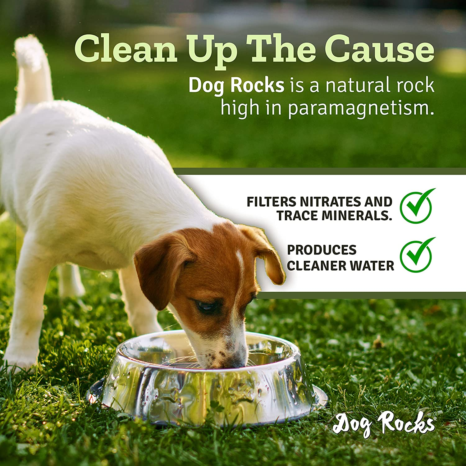 Dog Rocks, Prevents Grass Burn Marks Naturally, 600G, Each Bag Lasts 6 Months, 2 Bags image number 1