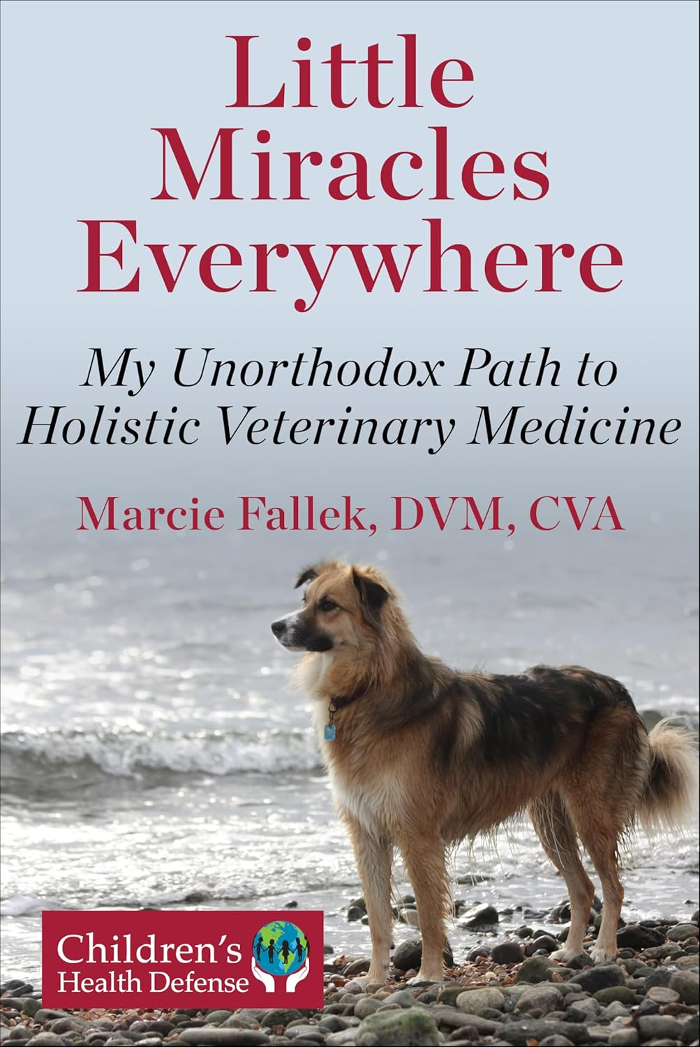 Little Miracles Everywhere: Memoir of a Holistic Veterinarian
