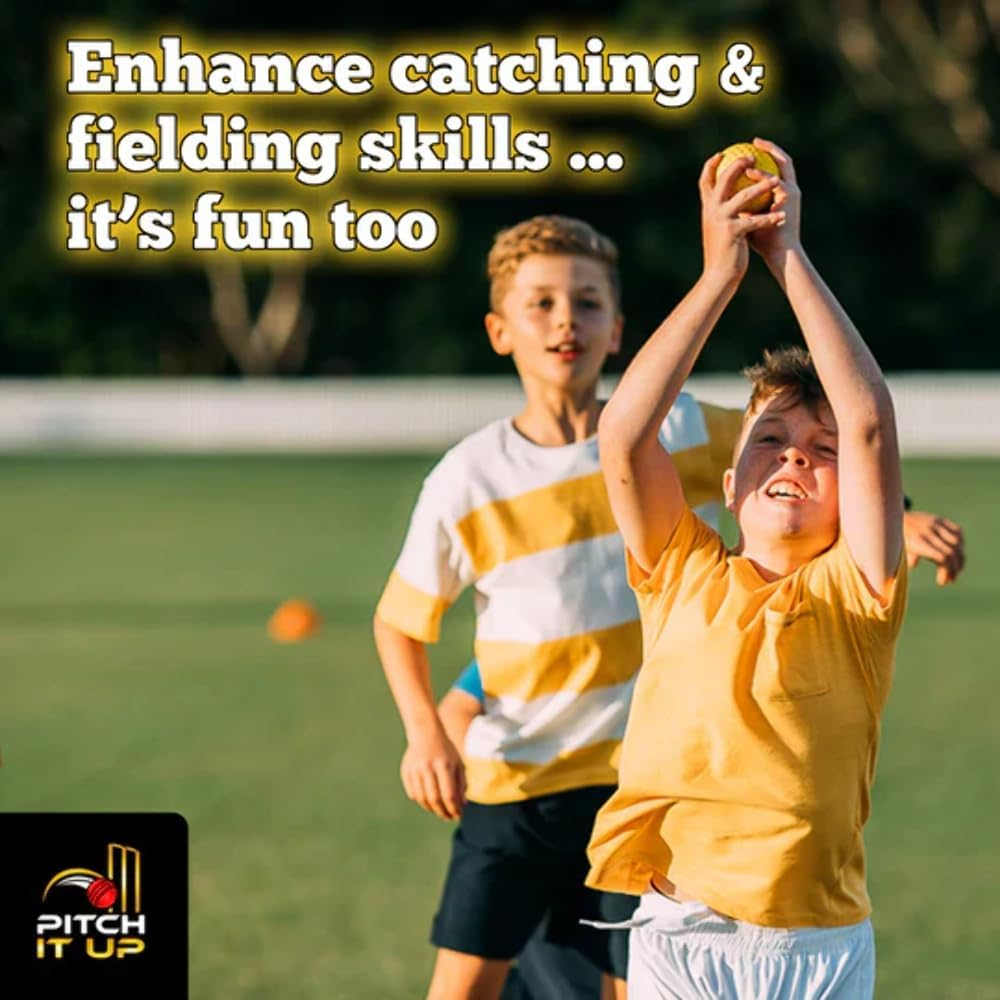 Cricket Balls Set (20 Balls) image number 1