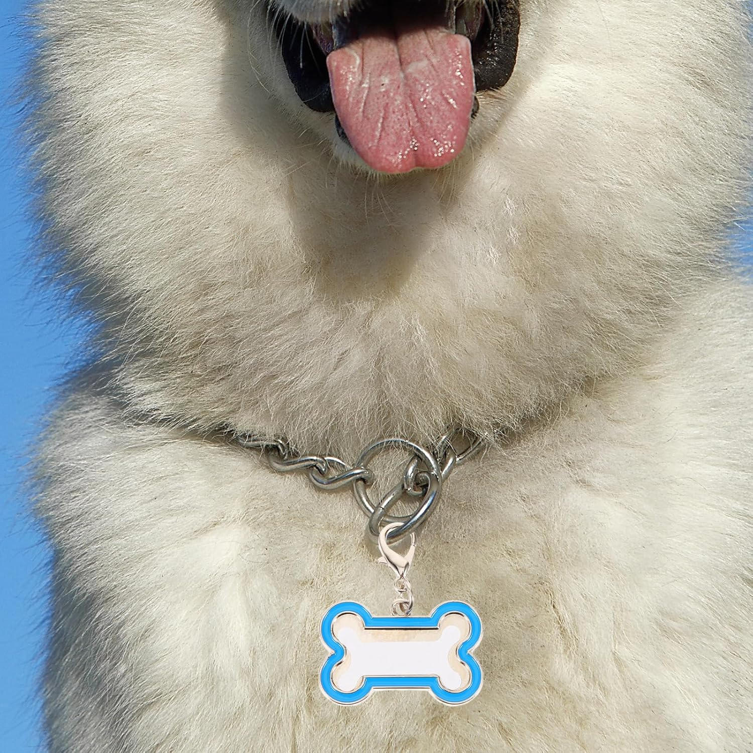 LUOZZY 4 Pcs Sublimation Blank Dog Tags Heat Transfer Puppy Kitten Tags Pendent Blank Craft Pet Tags Supplies - Blue image number 6