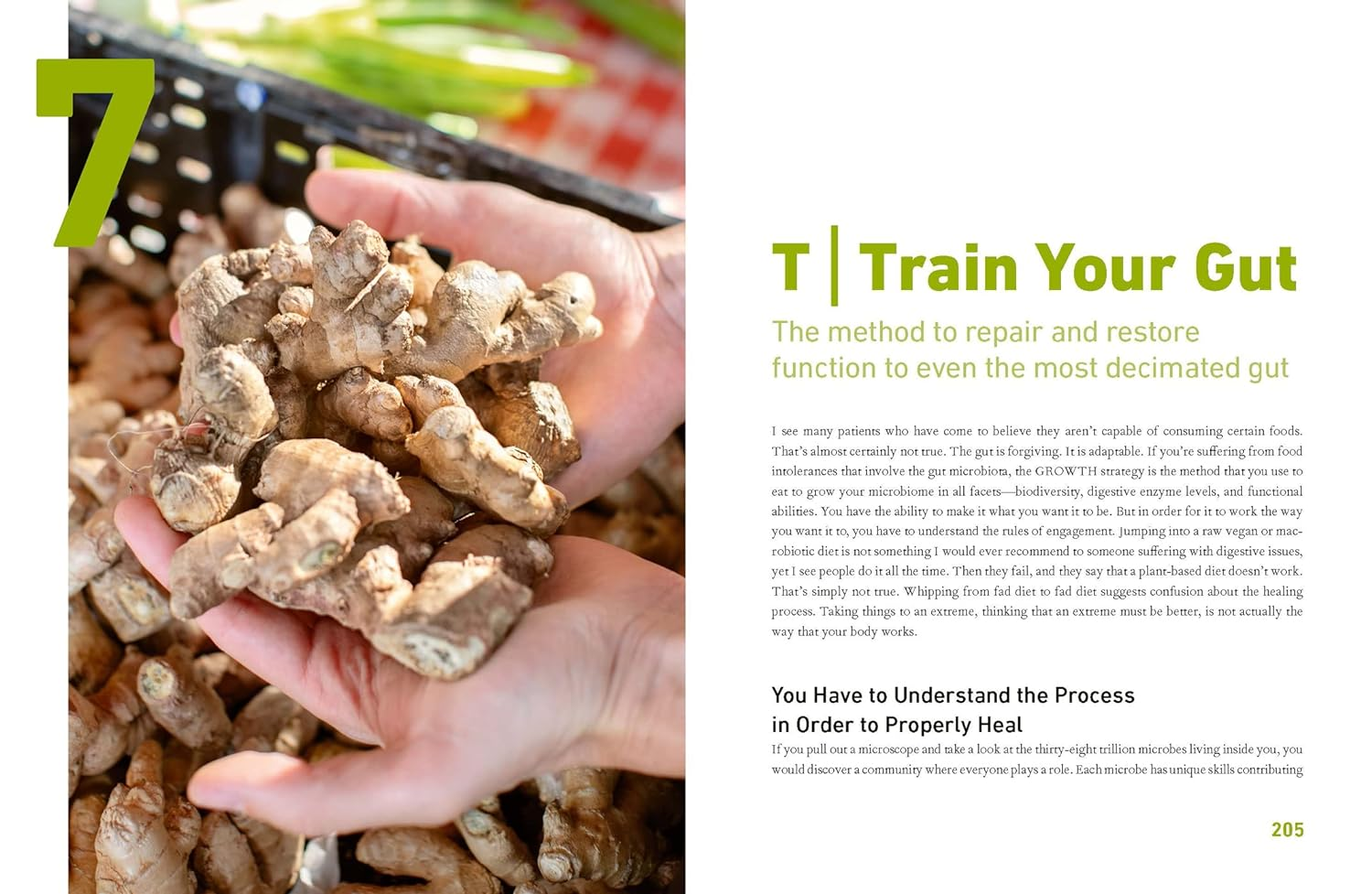 The Fibre Fuelled Cookbook: Inspiring Plant-Based Recipes to Turbocharge Your Health image number 4