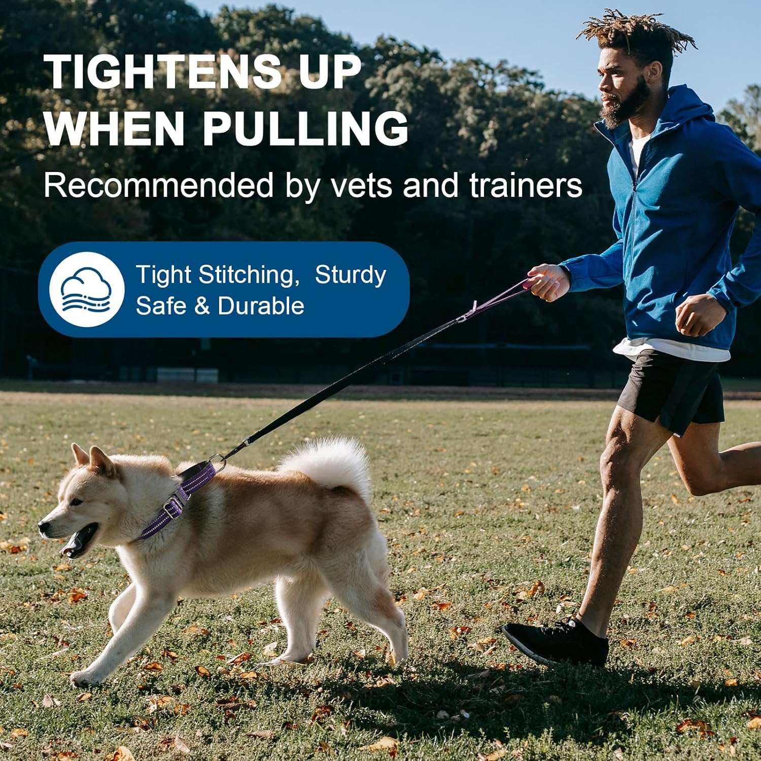 JOYEEIIOO Martingale Dog Collar, Adjustable Nylon Reflective Collar with Buckle. No Pull -For Small, Medium, Large Dogs. Prevents Slipping Out-Helps with Strong Pullers-Increase Control (Purple M) image number 7