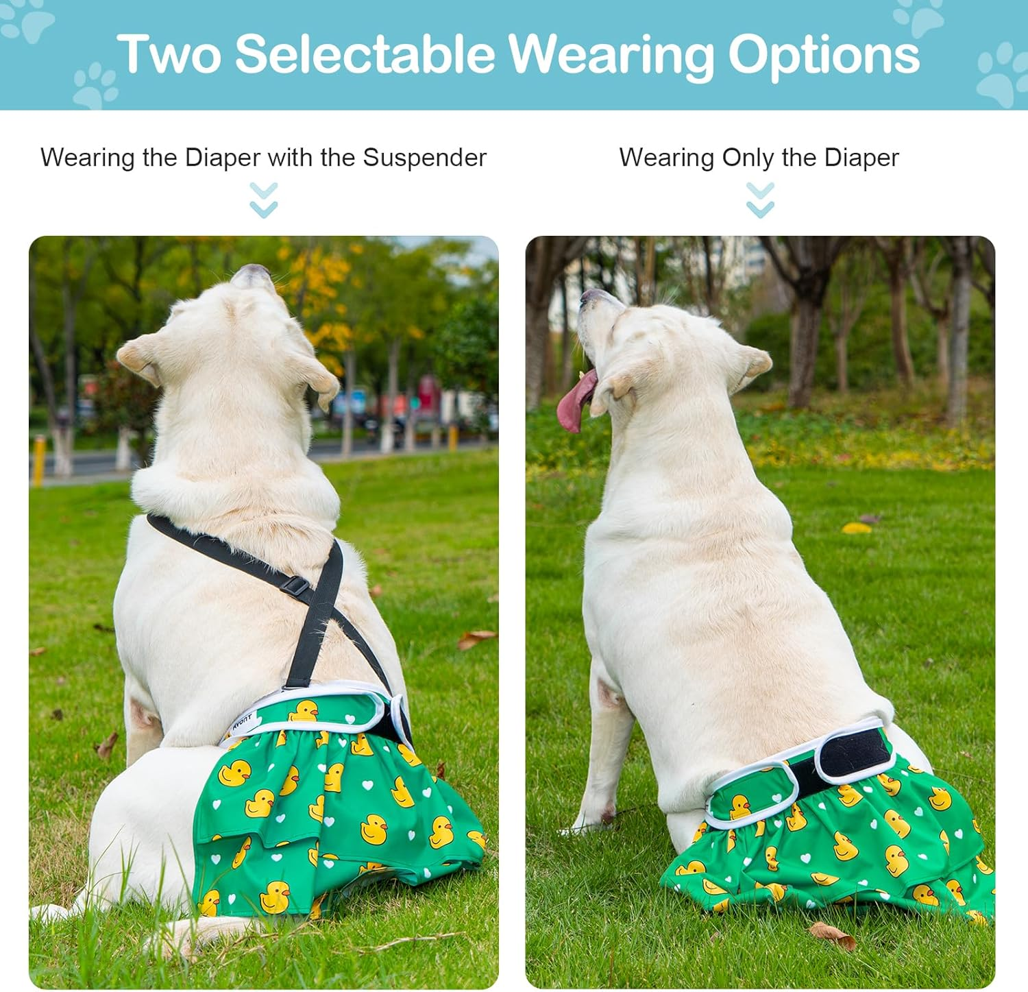 Avont 3 Pack Washable Female Dog Diaper with 1 Suspender, Reusable Girl Doggie Underwear Pants for Heat Cycle Period Incontinence Detachable Strap -Animal Pattern XS image number 6