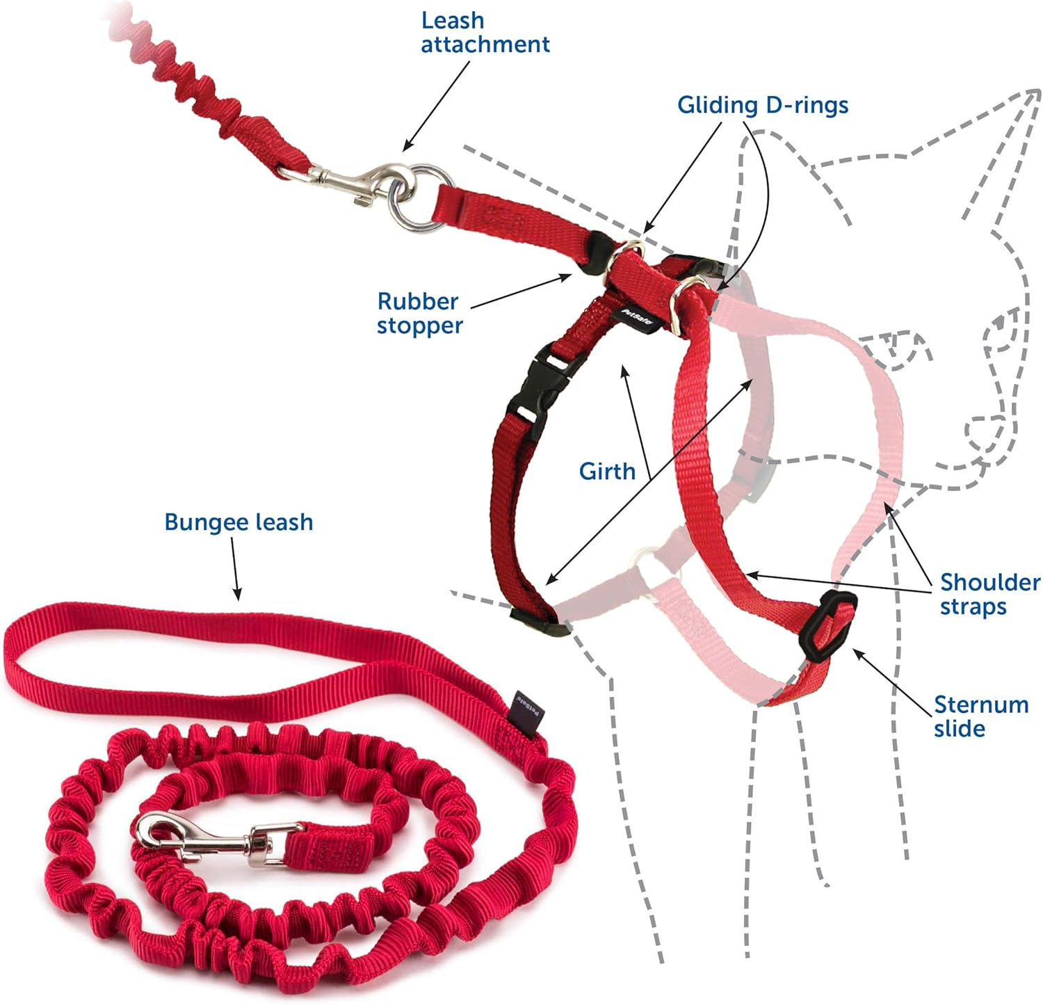 Petsafe Come with Me Kitty Glitter Harness and Bungee Cat Leash, Large image number 5