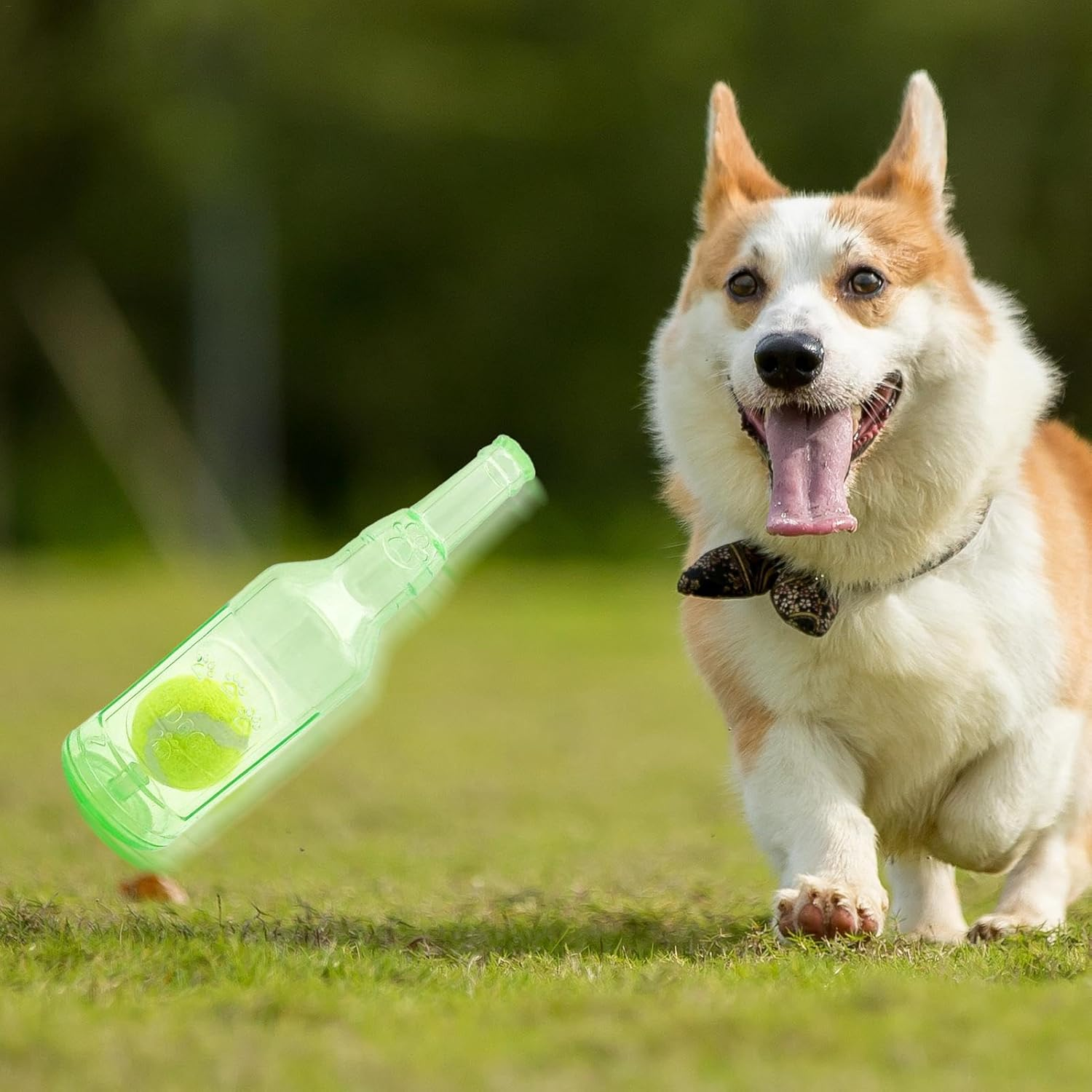 Water Bottle Dog Toy | Funny Dog Squeaky Chew Toy - Interactive Squeaky Toy Puppy Bottle Cruncher, Puppy Teething Chewing Interactive Toy for Birthday Holiday image number 4