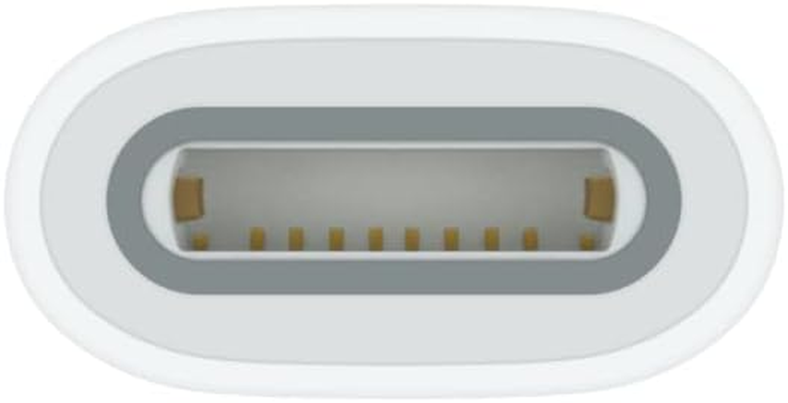 Apple USB-C to Apple Pencil Adapter image number 1