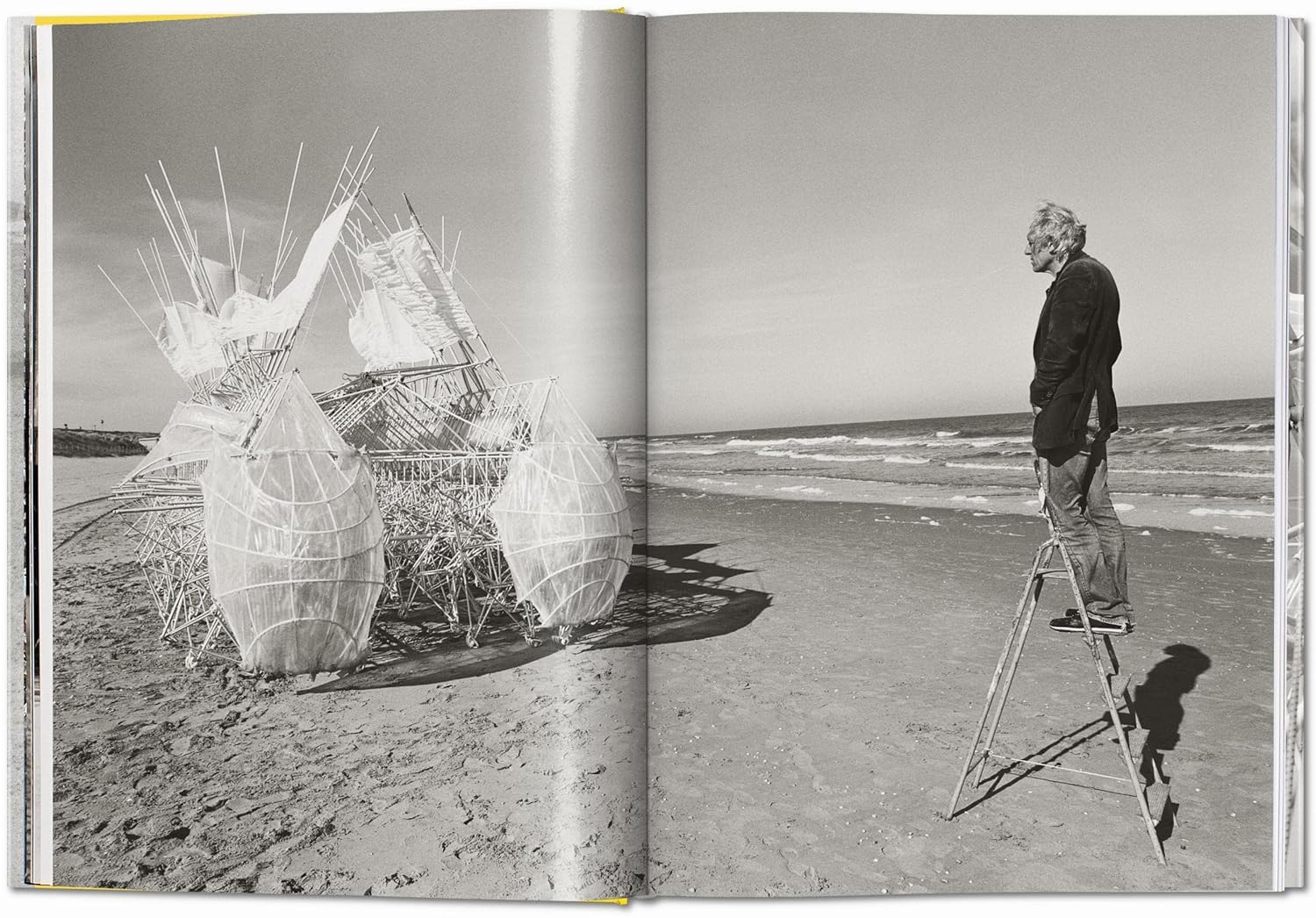 Lena Herzog. Strandbeest. the Dream Machines of Theo Jansen image number 2