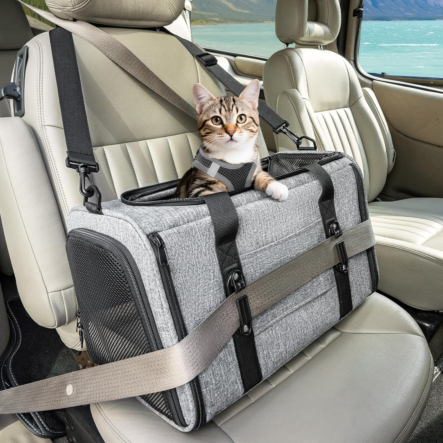Petsfit Pet Carrier (Greatly Improved Stability) Carry Bag, for Cats, Puppies, Small Dogs, Rabbits, Foldable, Breathable, for Car Riding, Prevents Shape Shape, for Cars, Driving, Hospitalization,