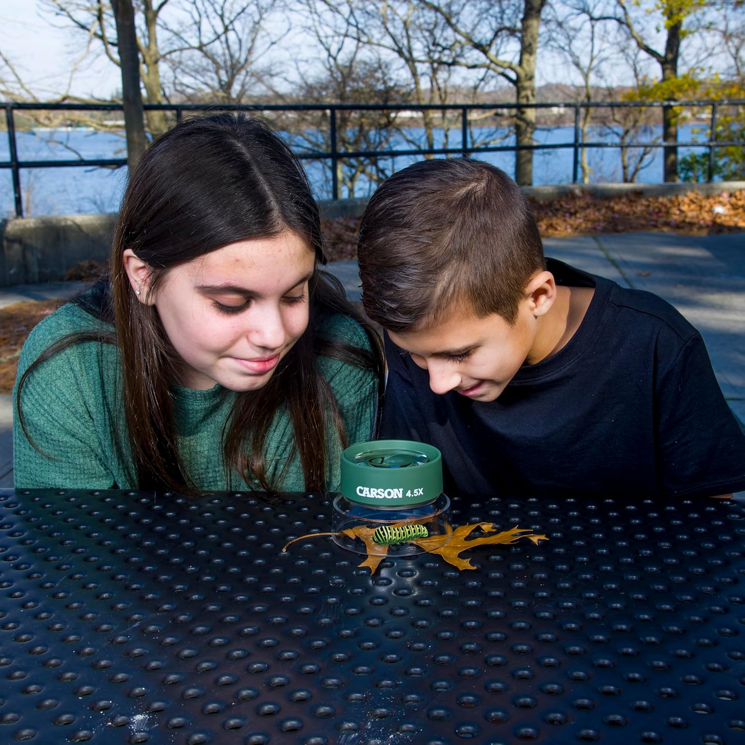 Carson Bugloupe Oversized 4.5X Stand Magnifier for Easy Viewing image number 1