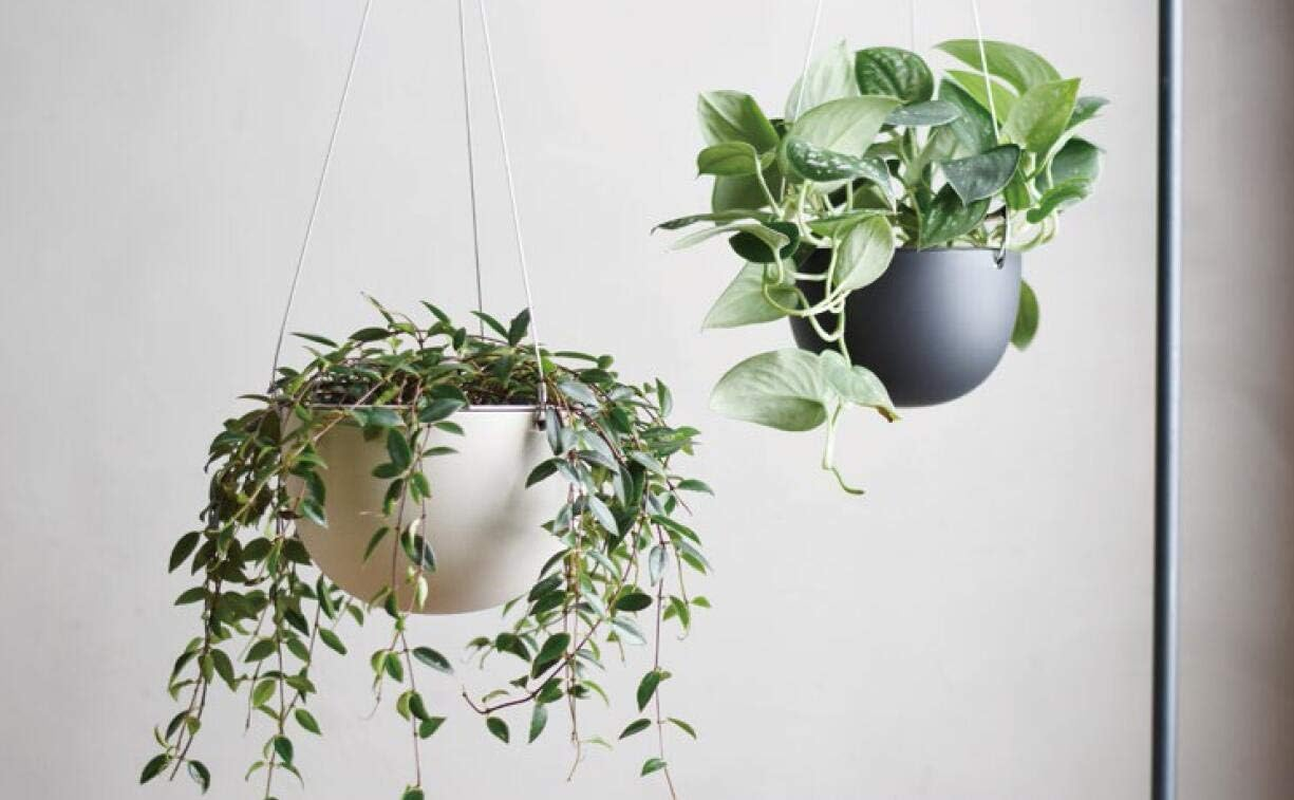 KINTO 29229 201_ Plant Pot 6.9 Inches (174 Mm) Beige Hanging Planter image number 1