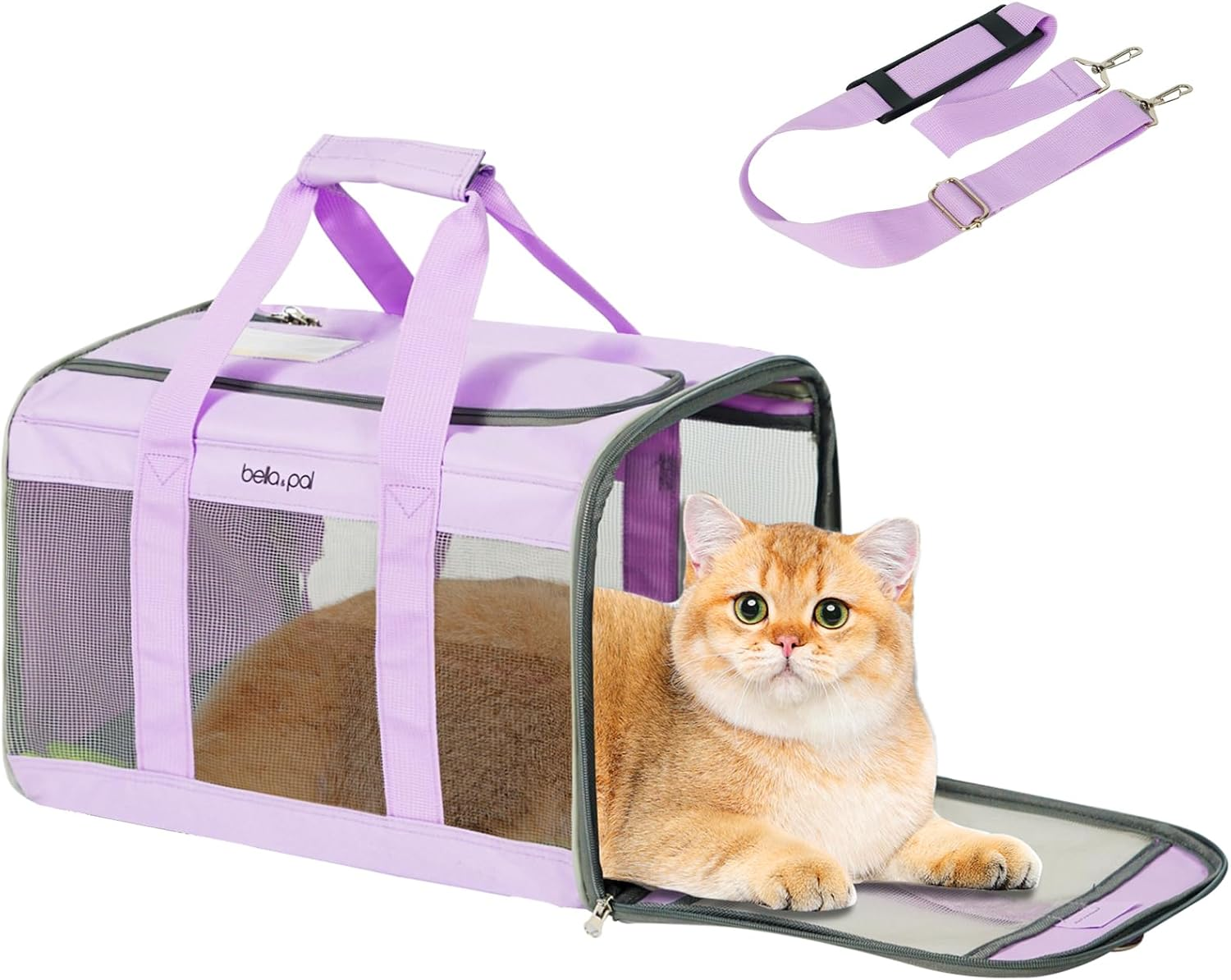 BELLA & PAL Cat Carrier Dog Carriers Airline Approved, Pet Carrier for Small Medium Dogs Cats under 16Lbs, Collapsible Soft Sided Travel Puppy Carrier (Brown, 16.5" L X 11" W X 11" H) image number 5