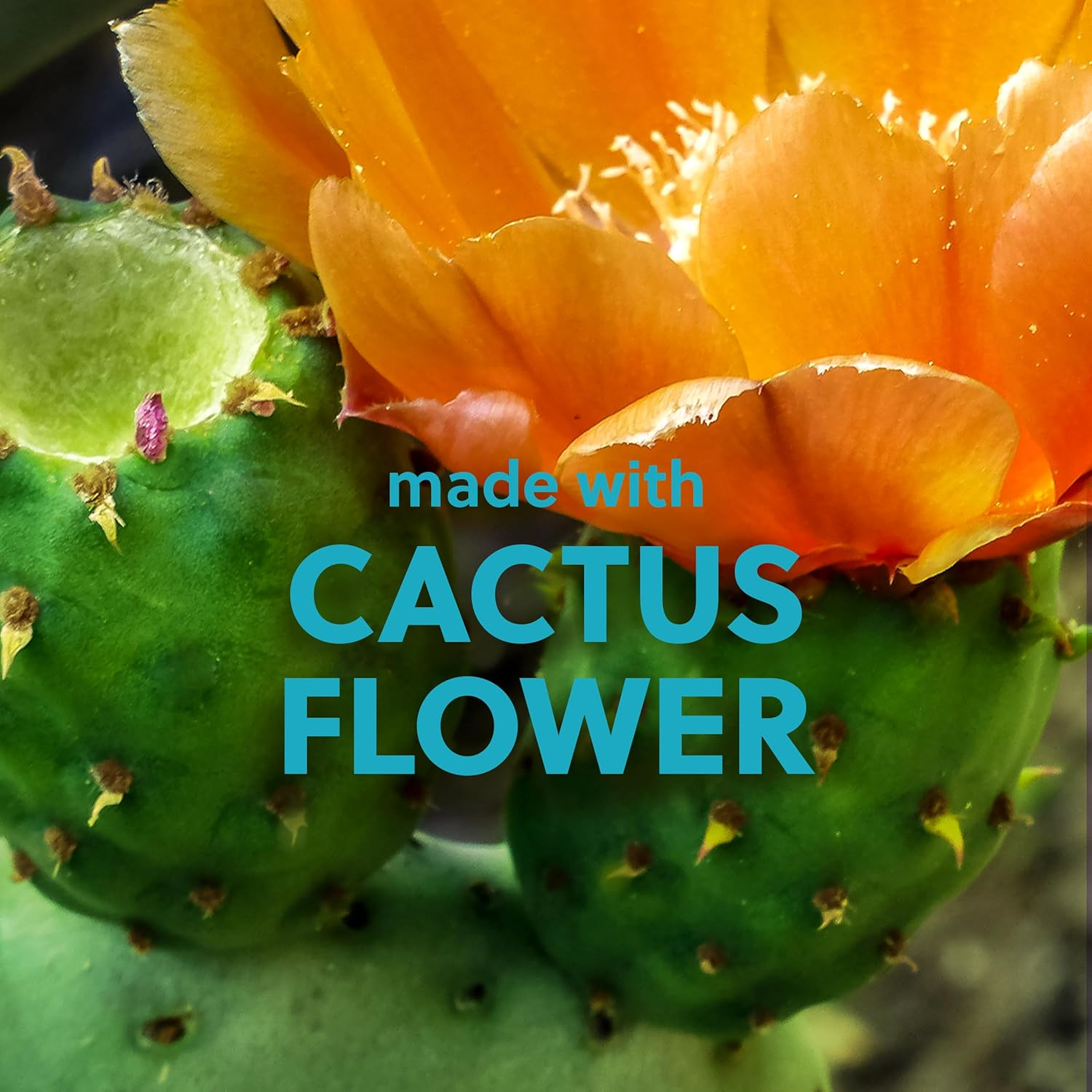 Tree Hut Desert Haze Shea Sugar Scrub | Exfoliating Body Scrub Removes Dead, Dry Skin for a Soft and Hydrated Feel | Nourishing Essential Body Care | 18 Oz image number 6