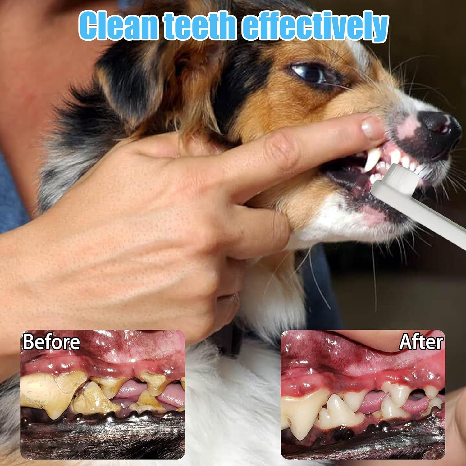 Dog Toothbrush, Dog Toothbrush for Small Dogs, Cats Dental Care for Dogs, Oral Hygiene, Deep Clean for Pets Cleaning (Pack of 3) image number 5