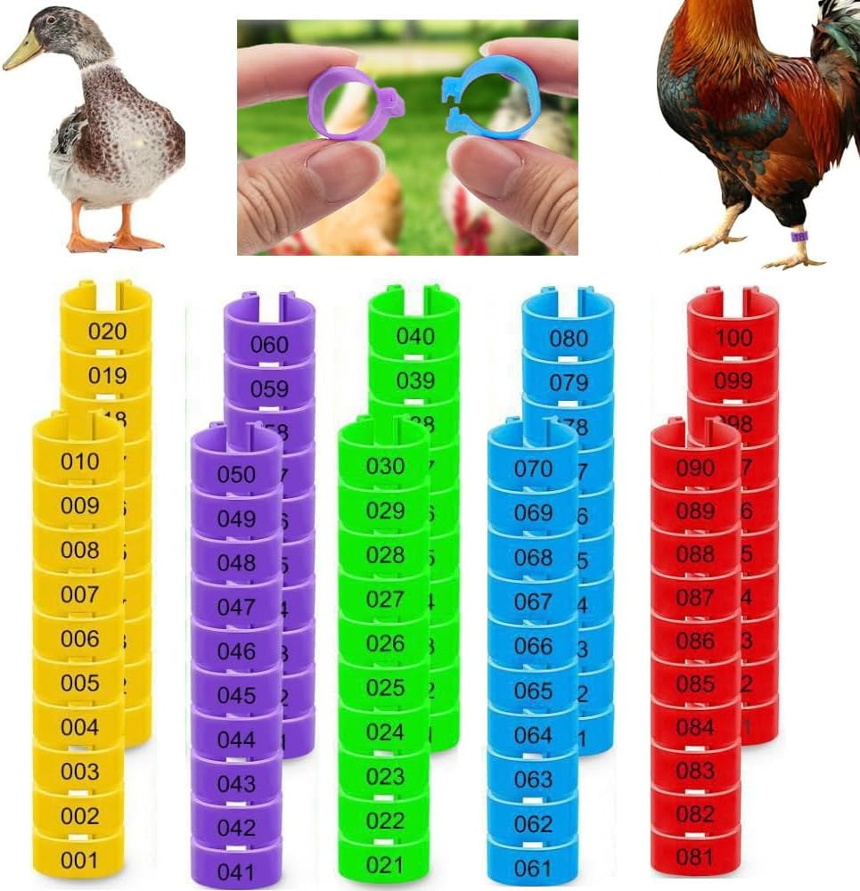 100Pcs Clip on Leg Rings Band Foot, 16Mm Chicken Leg Bands, 001-100 Numbered Pigeon Foot Rings Birds Tags Leg Bands Clip, 5 Colors Numbered, for Poultry Legs,Gamefowl,Ducks,Goose, Bird Identification image number 1