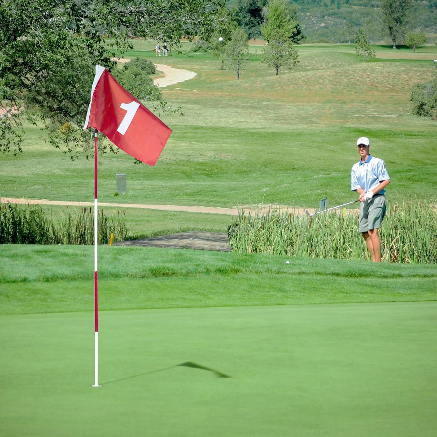 Golf Flagstick 6Ft, 185Cm Portable Five-Section Design for Backyard Practice Putting Green, Driving Range Golf Pin Flag Hole Cup Set, Gift Idea image number 5